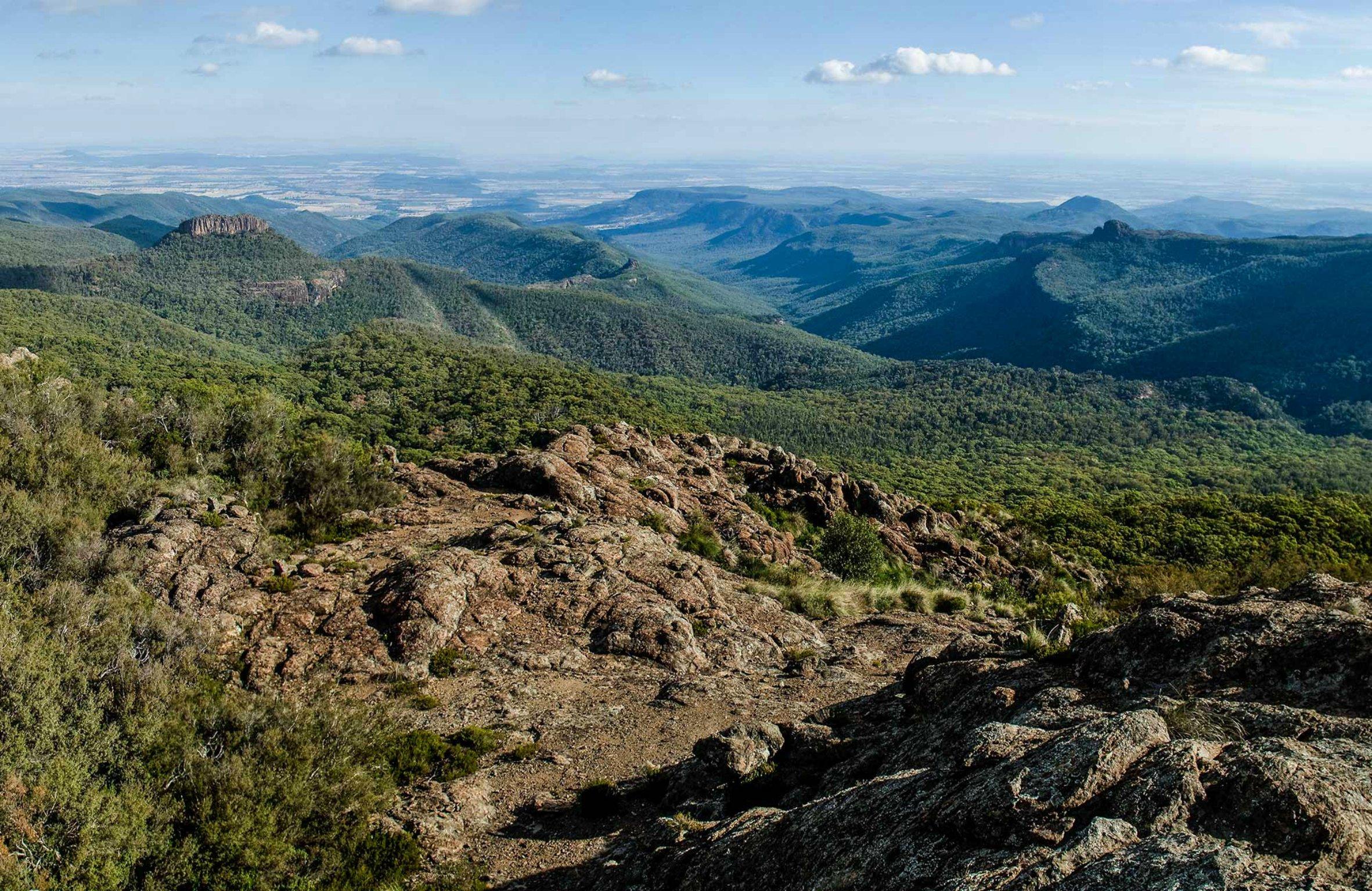 Governor Lookout Walking Track