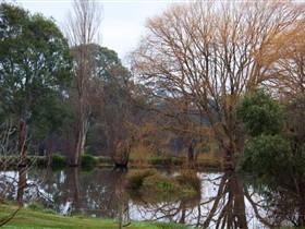 Gemtree Wetlands Ecotrail