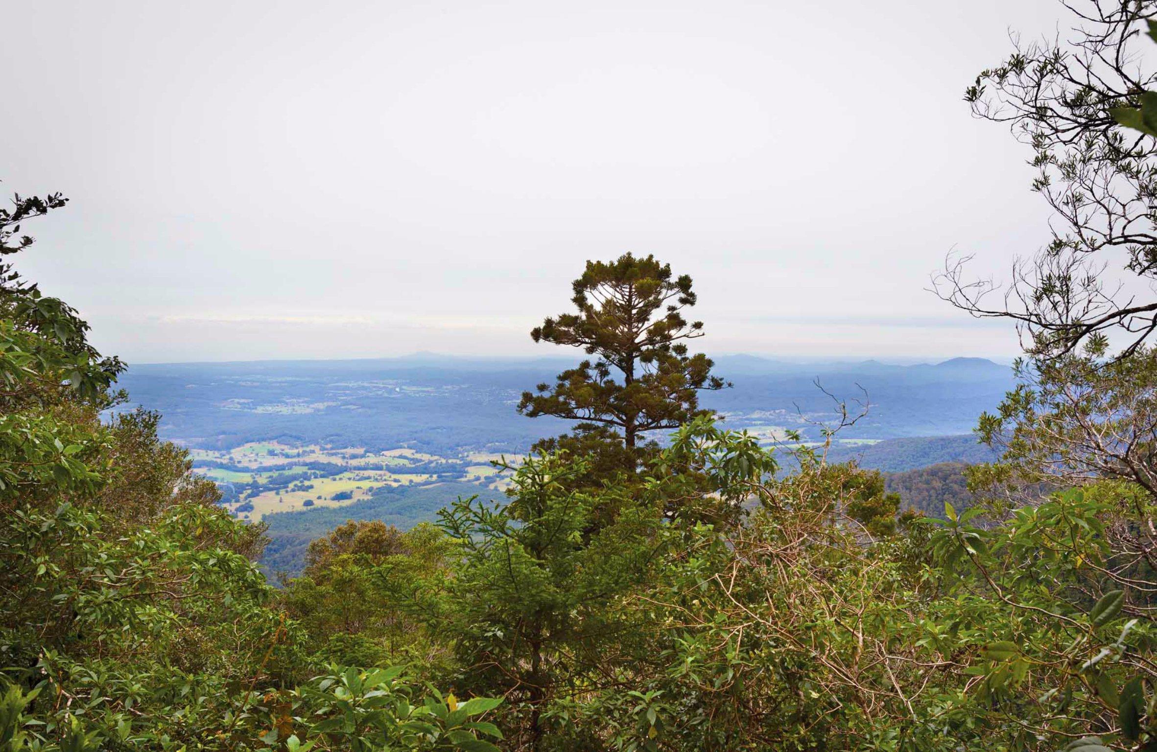 Slingsbys Trail and Syndicate Ridge Track