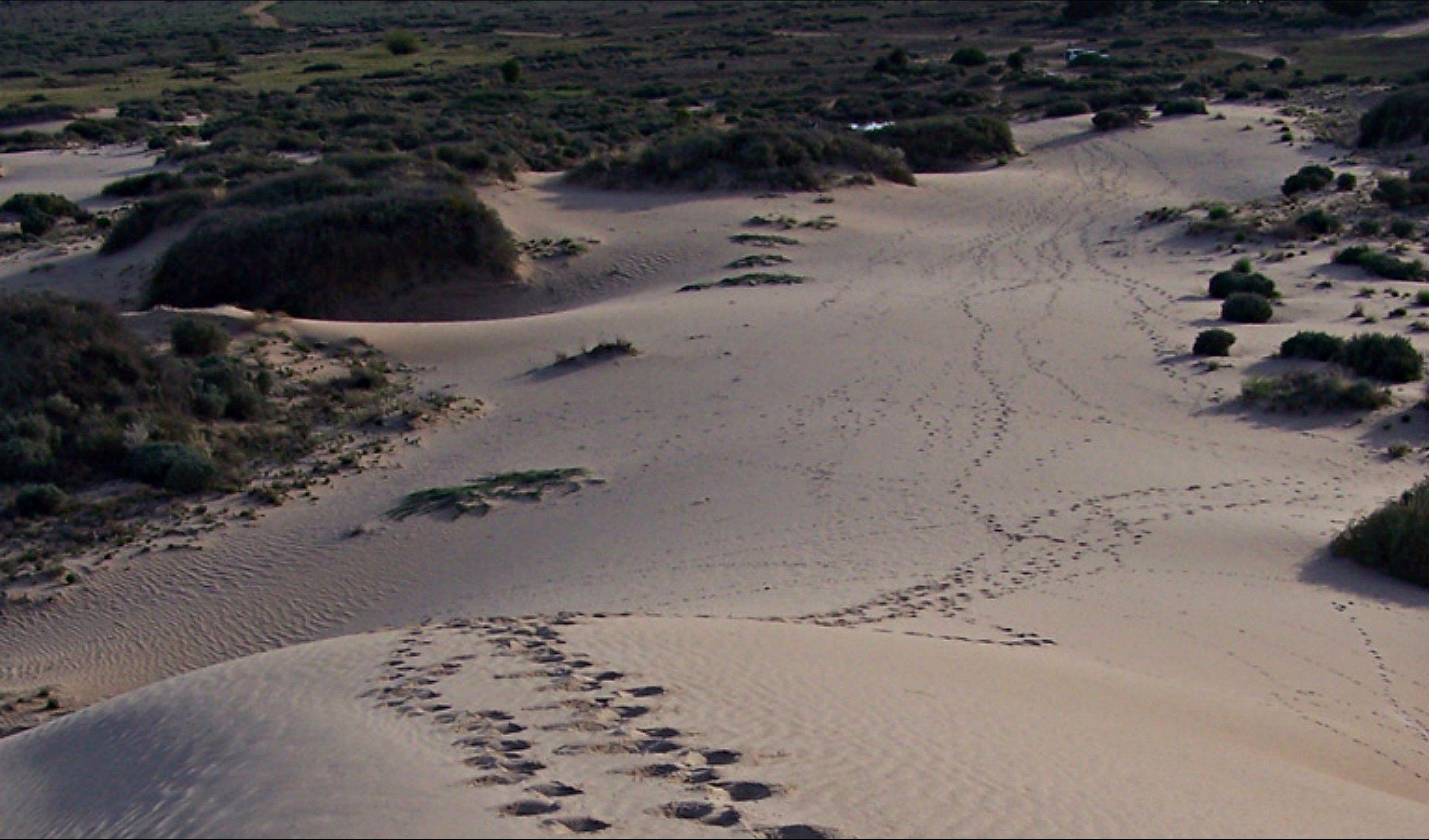 Foreshore Walk, Mungo National Park