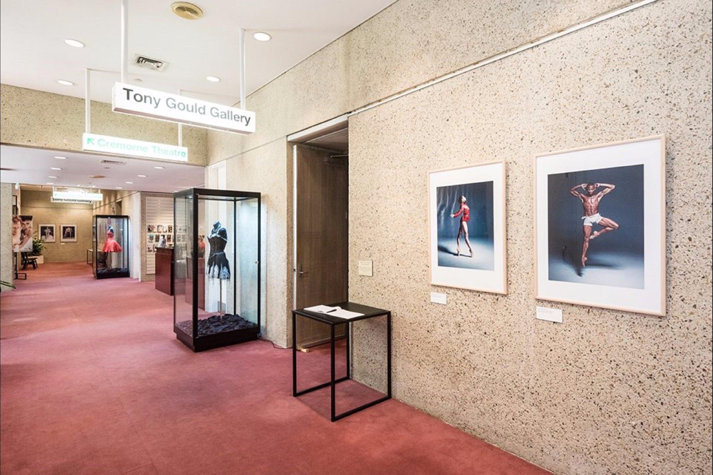 Tony Gould Gallery