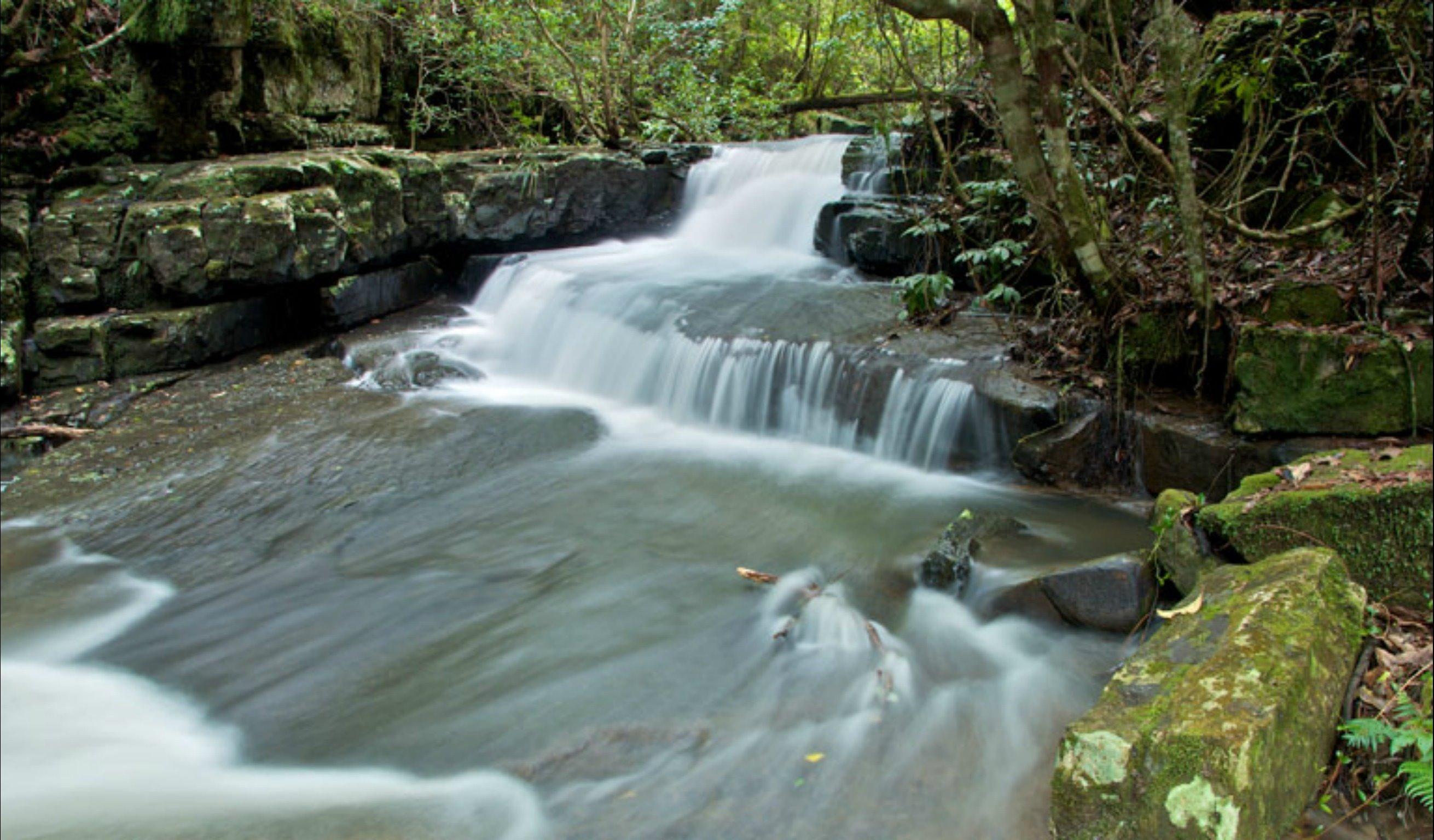 Jerusalem Creek trail