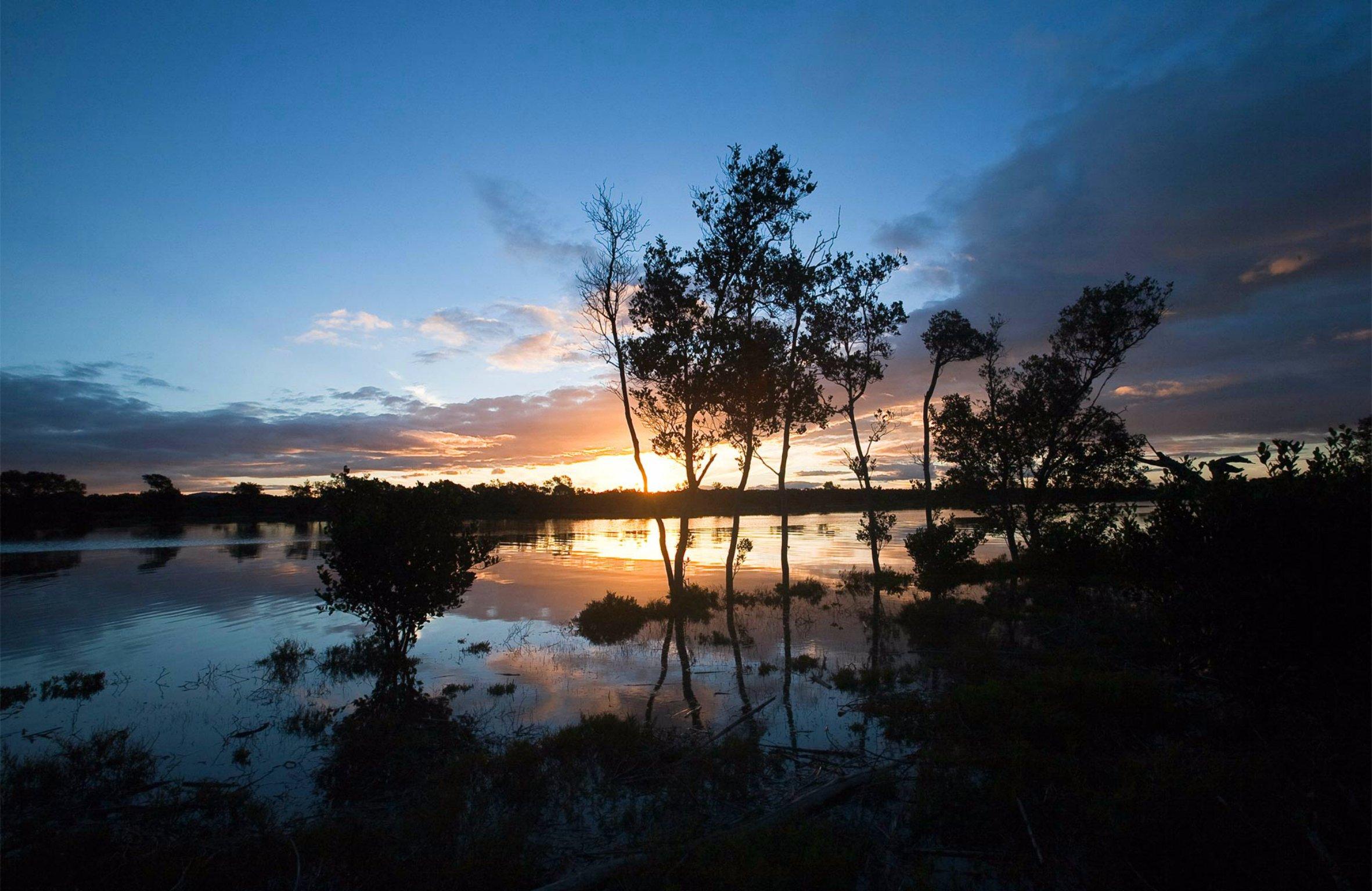 Hunter Wetlands National Park