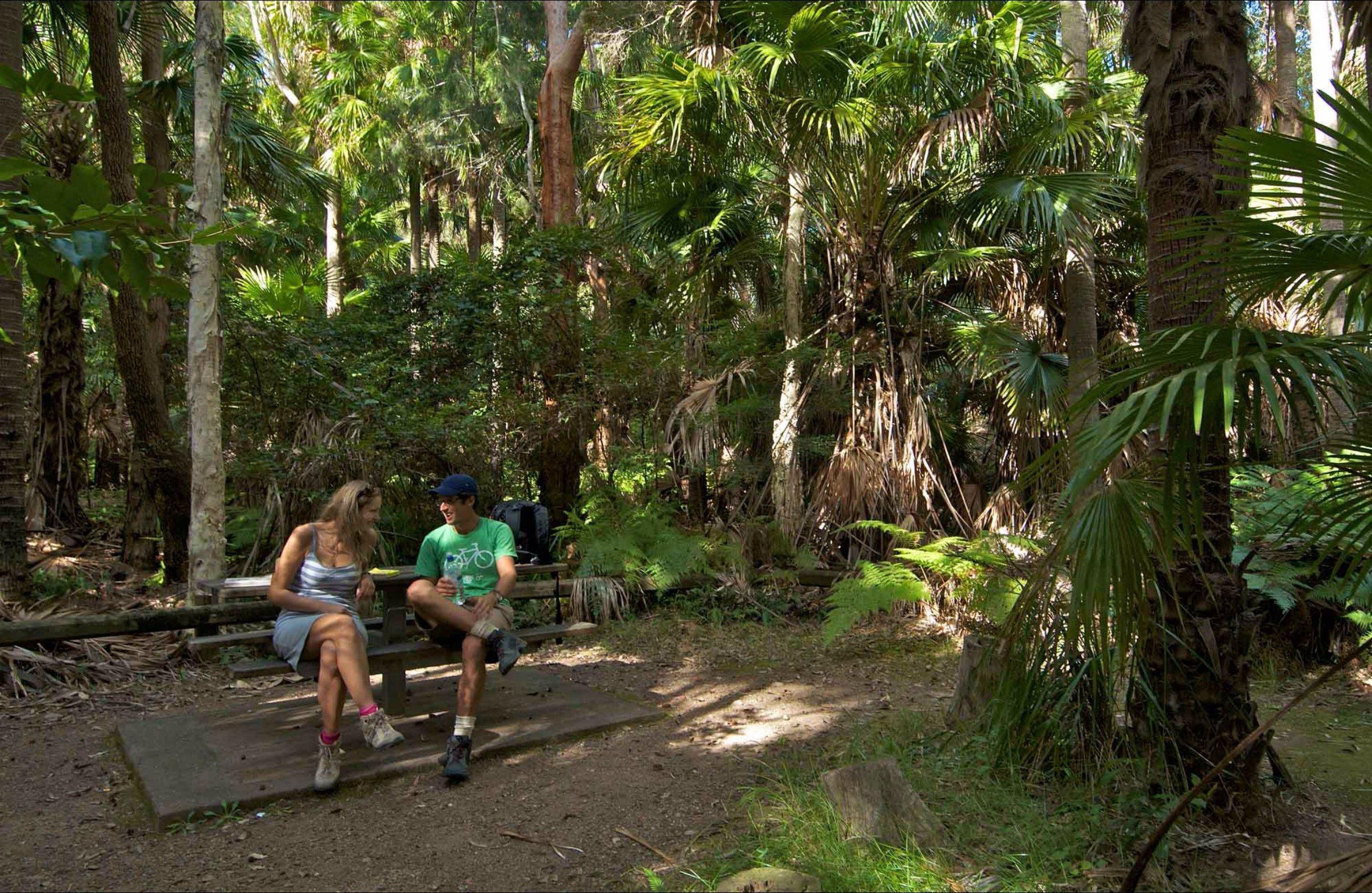 Palms picnic area