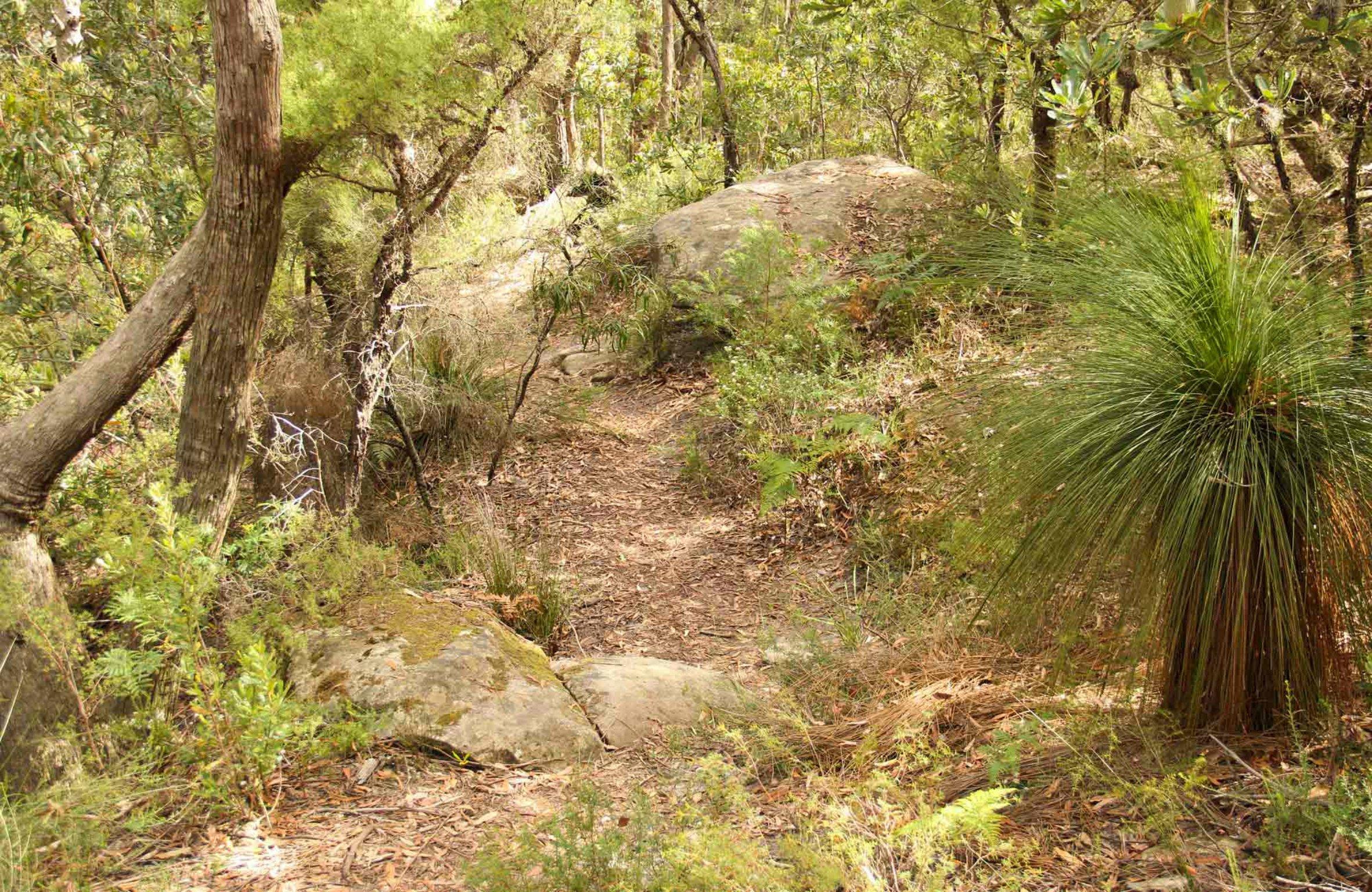 Mount Carnarvon Walking Track