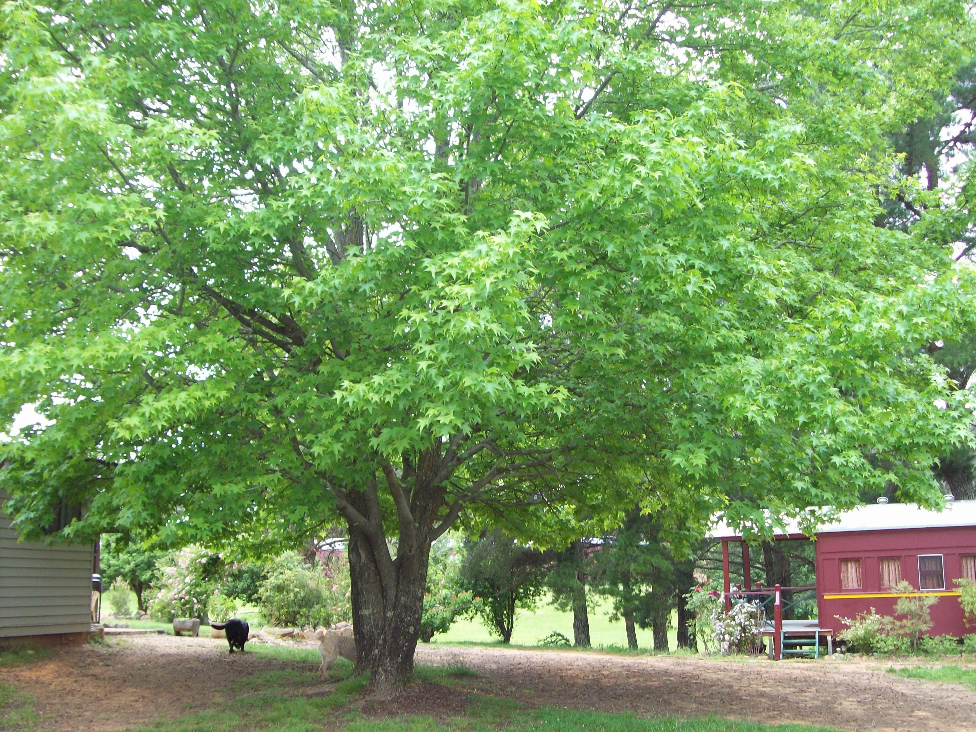 Hill End Holiday Ranch