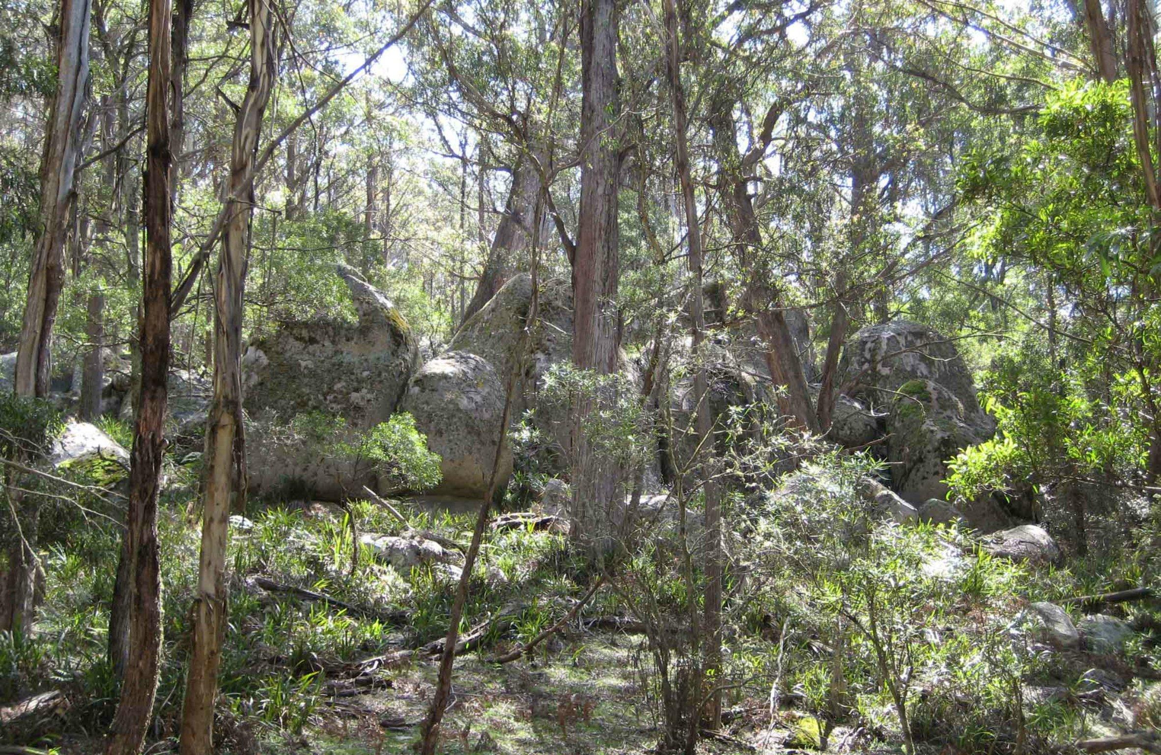 Tallaganda National Park