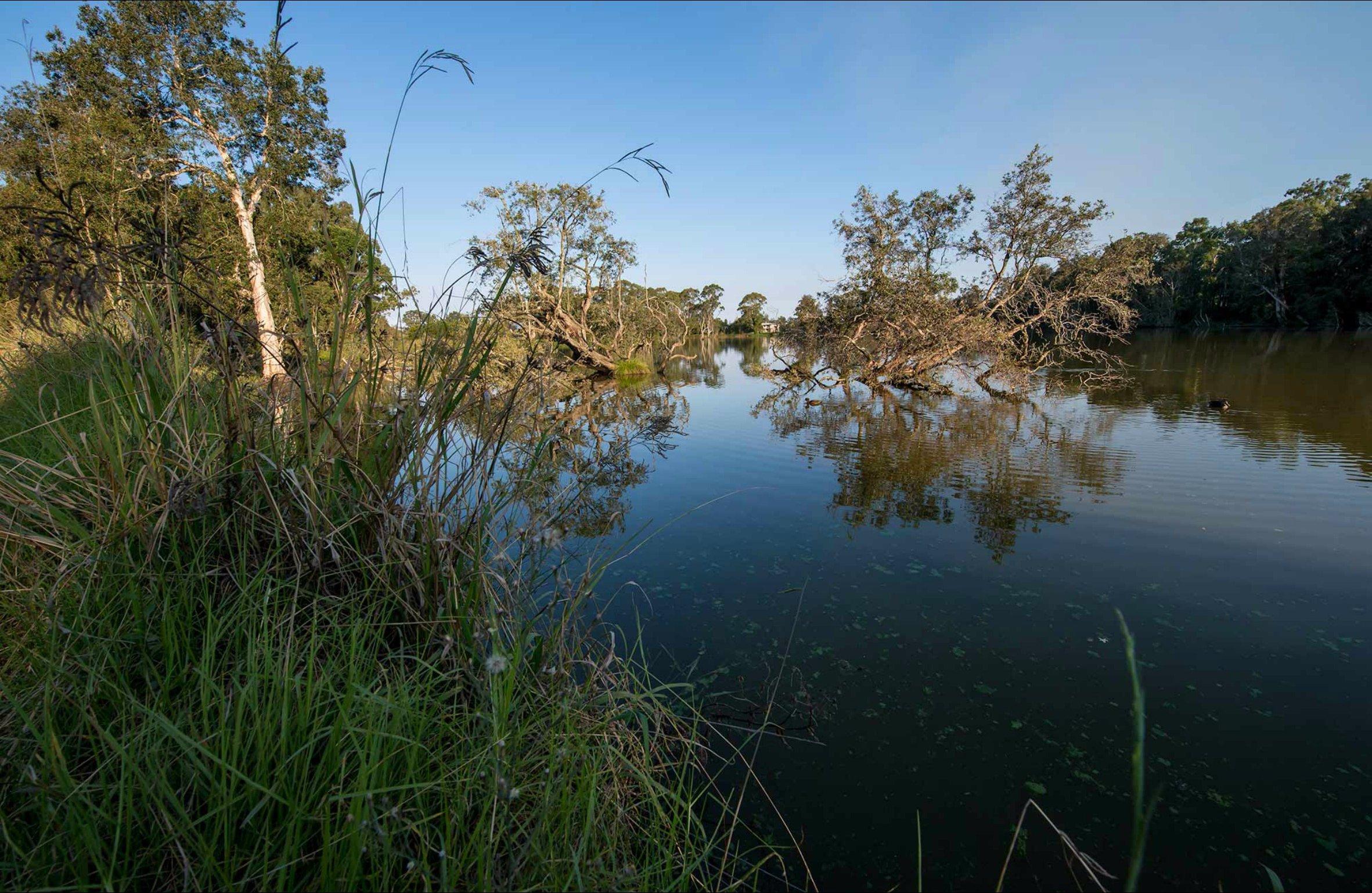 Seaham Swamp Bird Hide