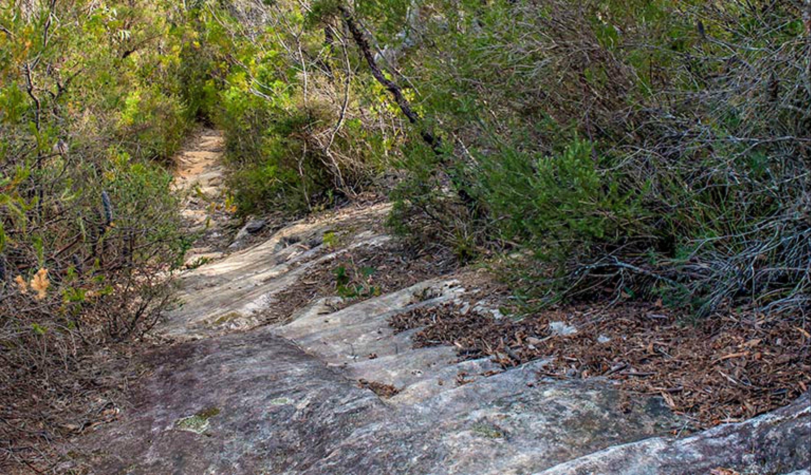 Lovers Walking Track