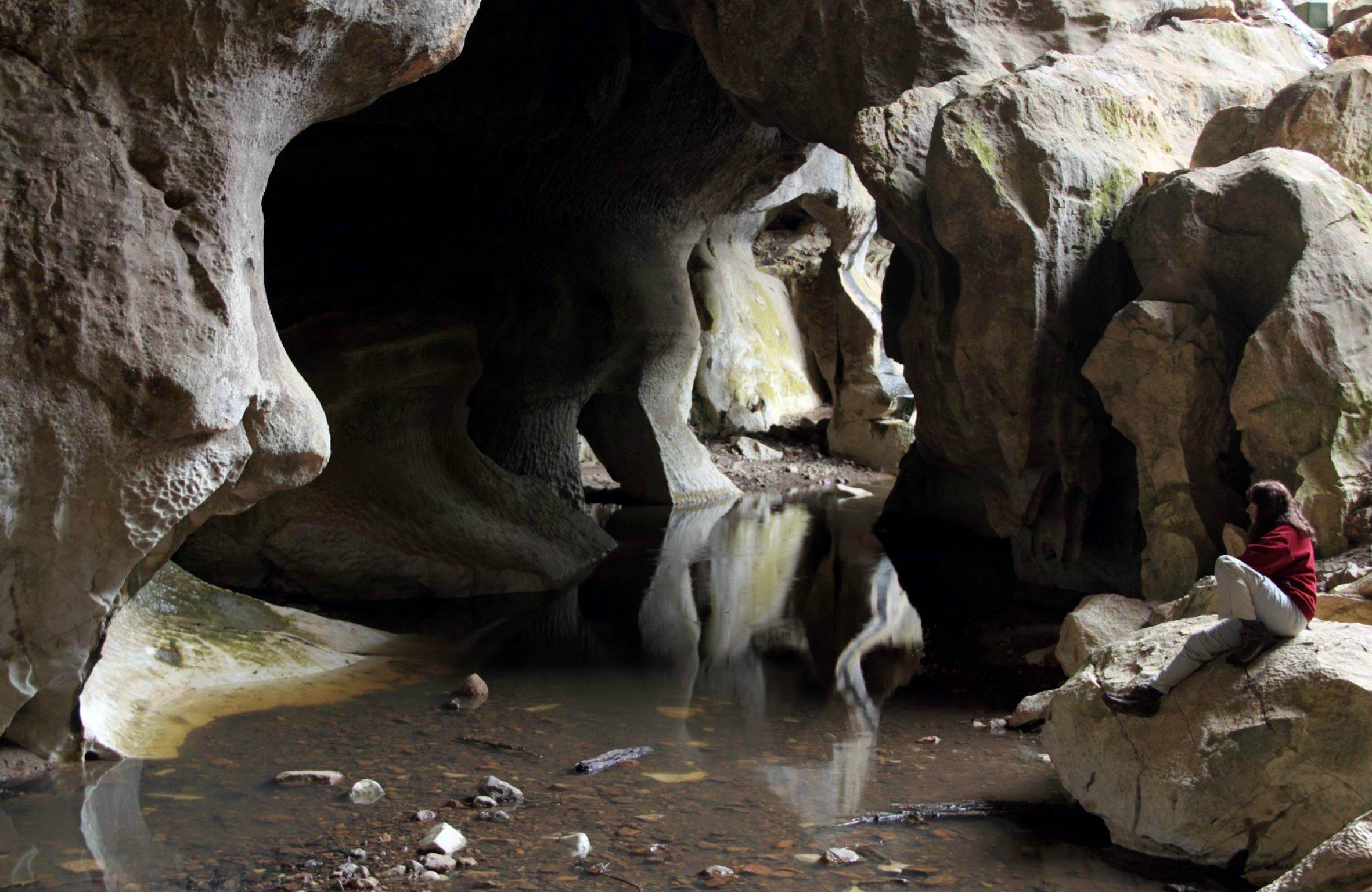 Fig Tree Cave