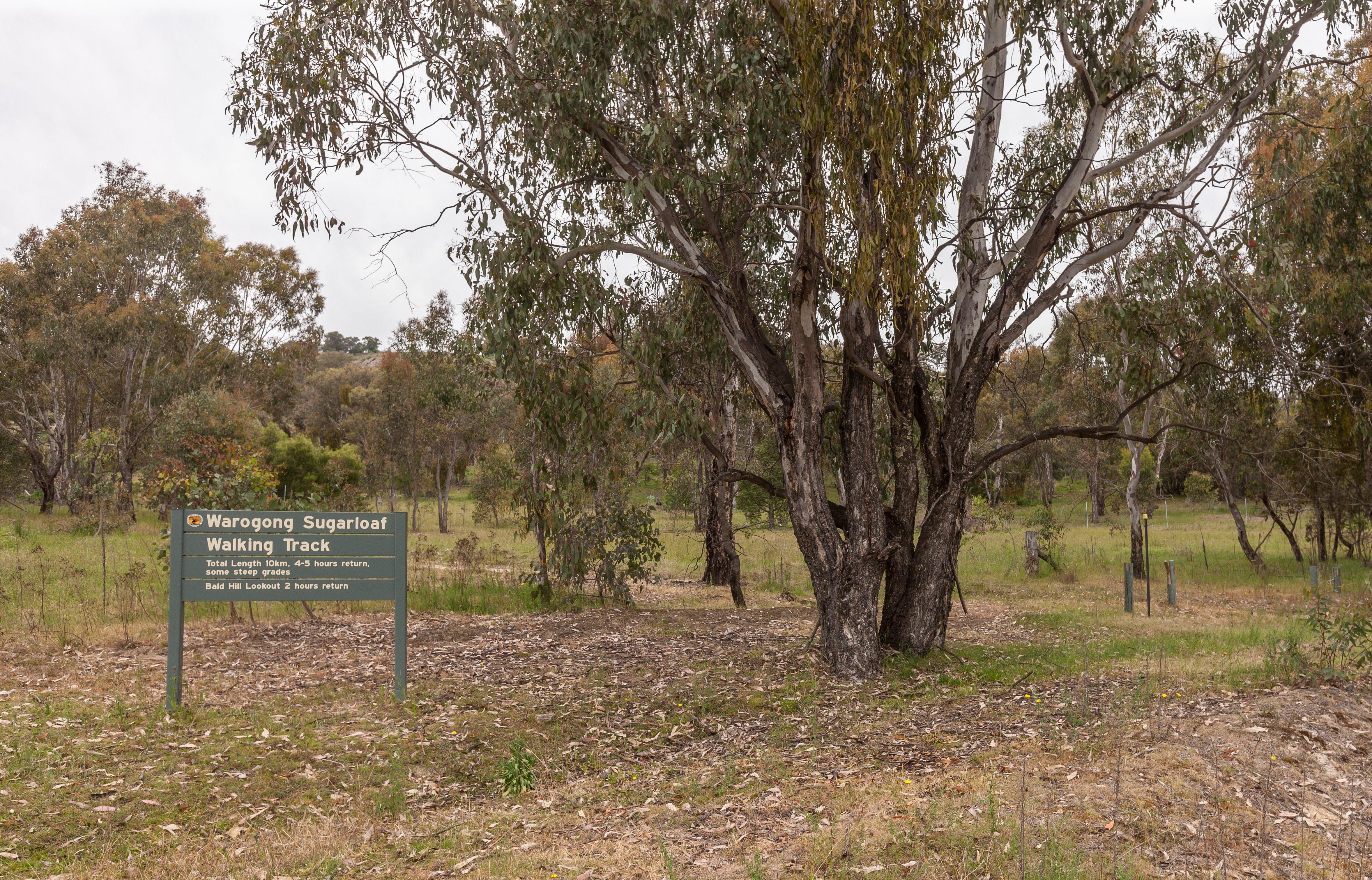 Warogong Sugarloaf Walking Track