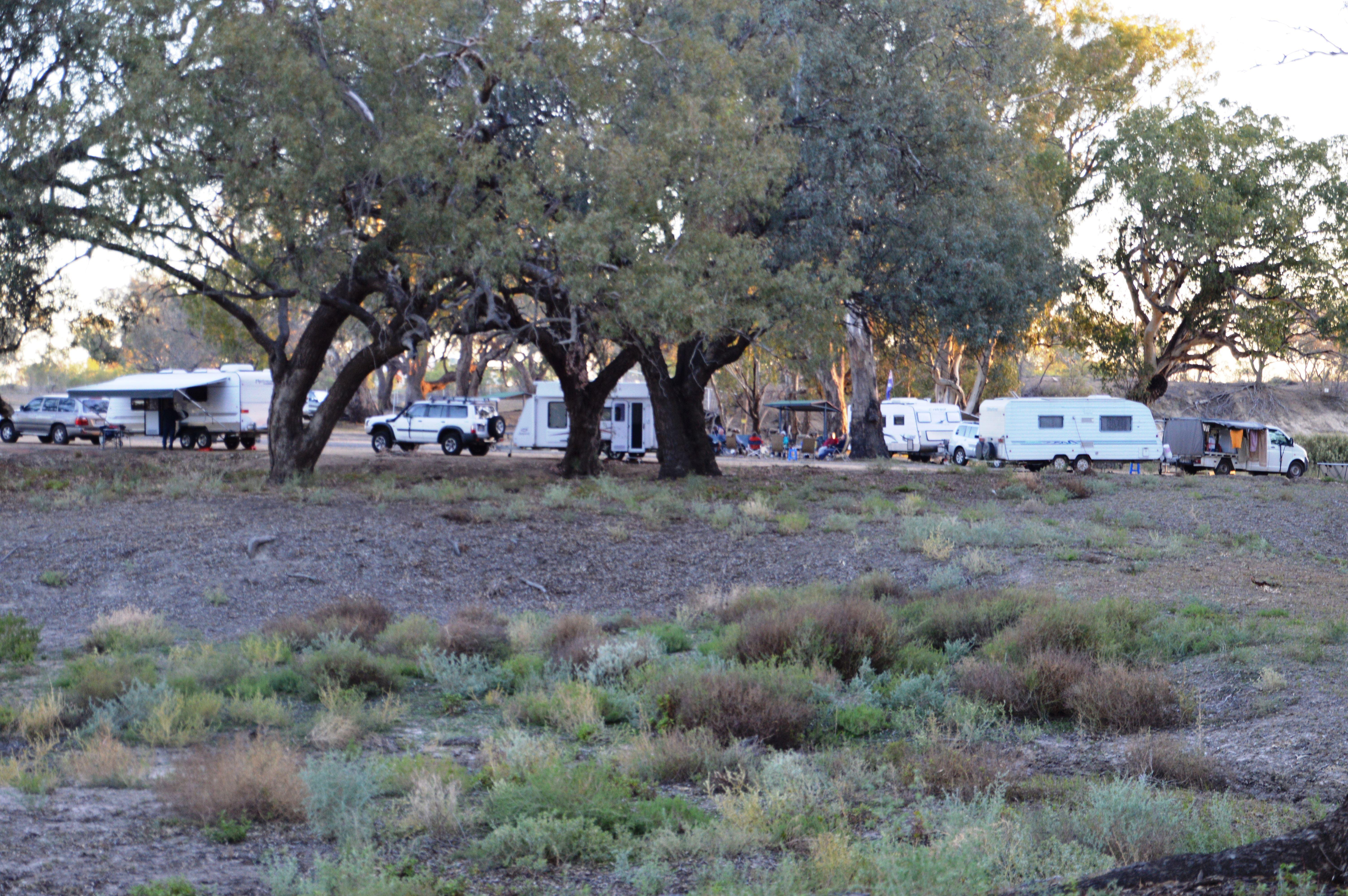 Four Mile Camping Reserve