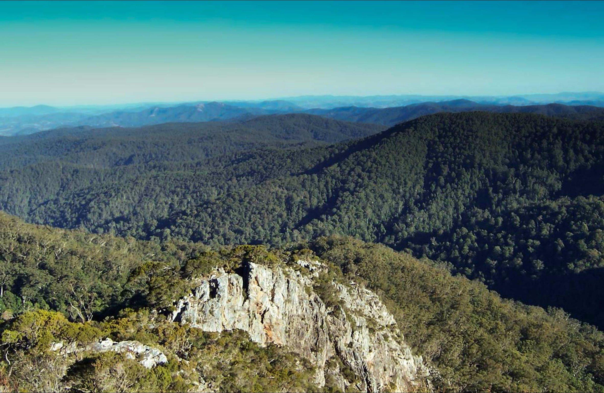 Rowleys Peak lookout