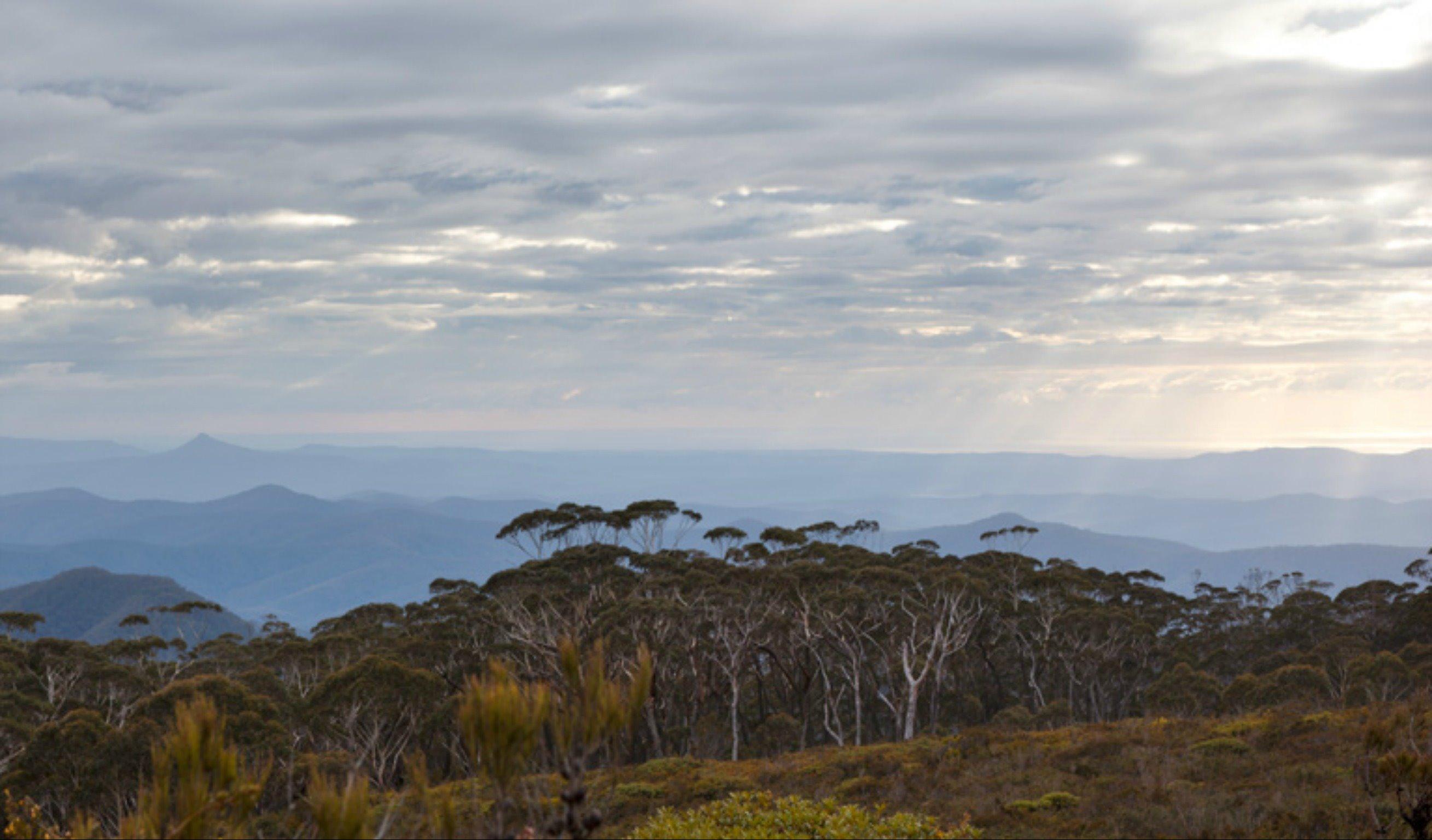 Mount Budawang trail