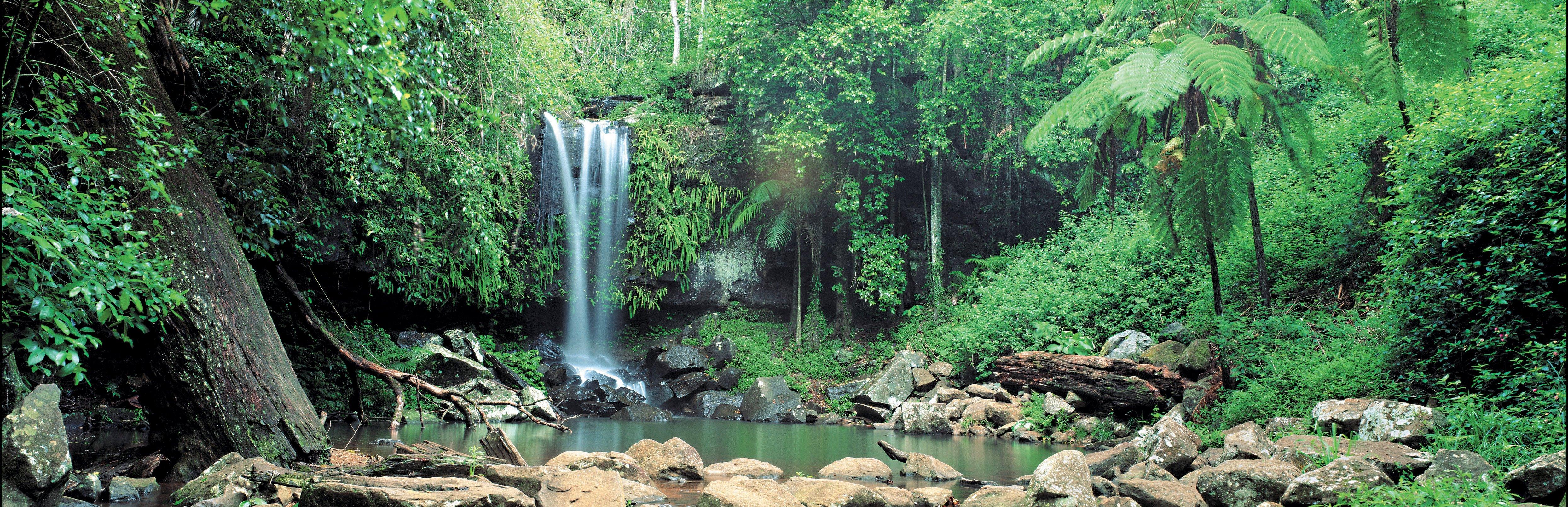 Tamborine National Park