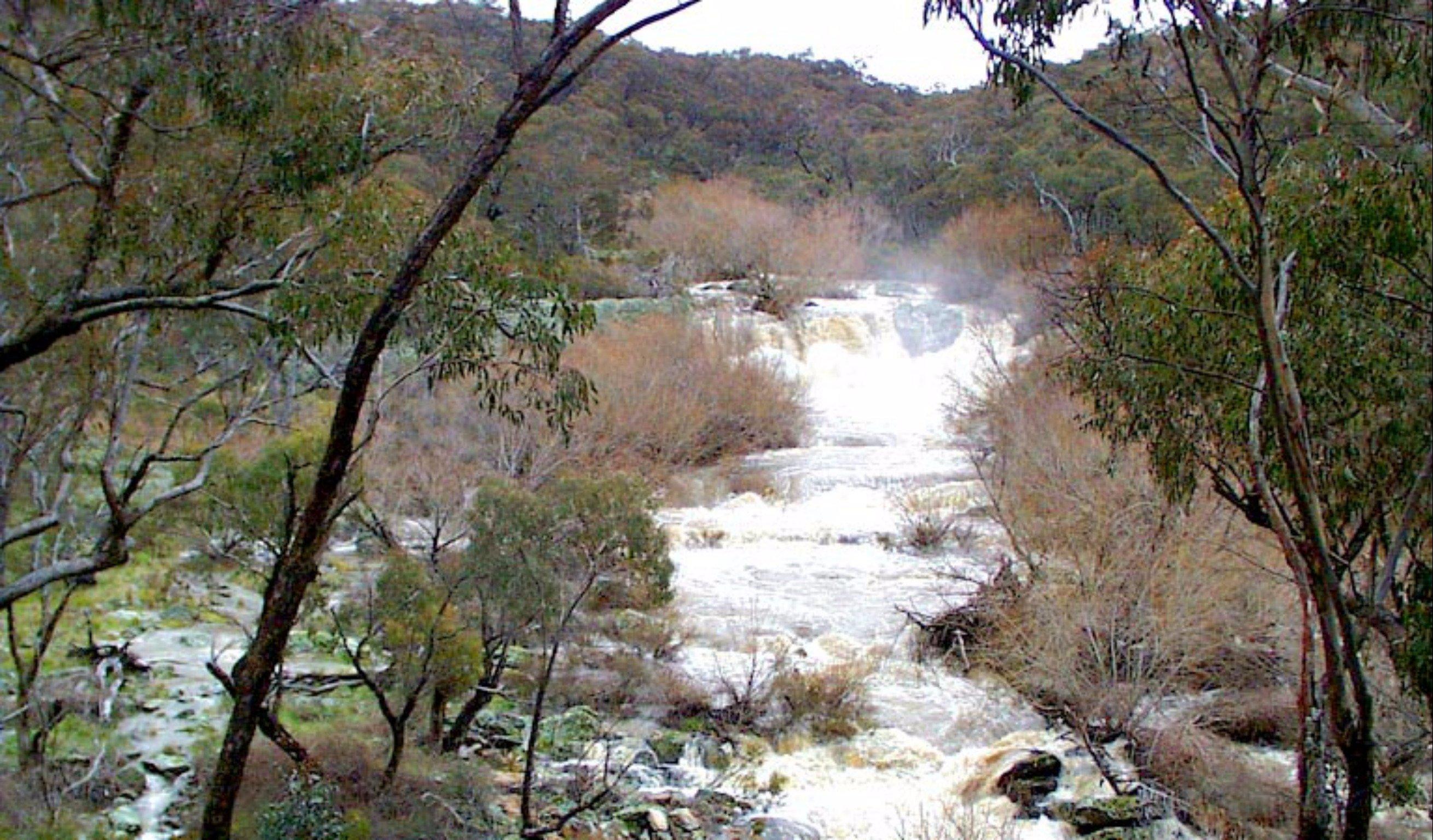 The Falls Water Falls