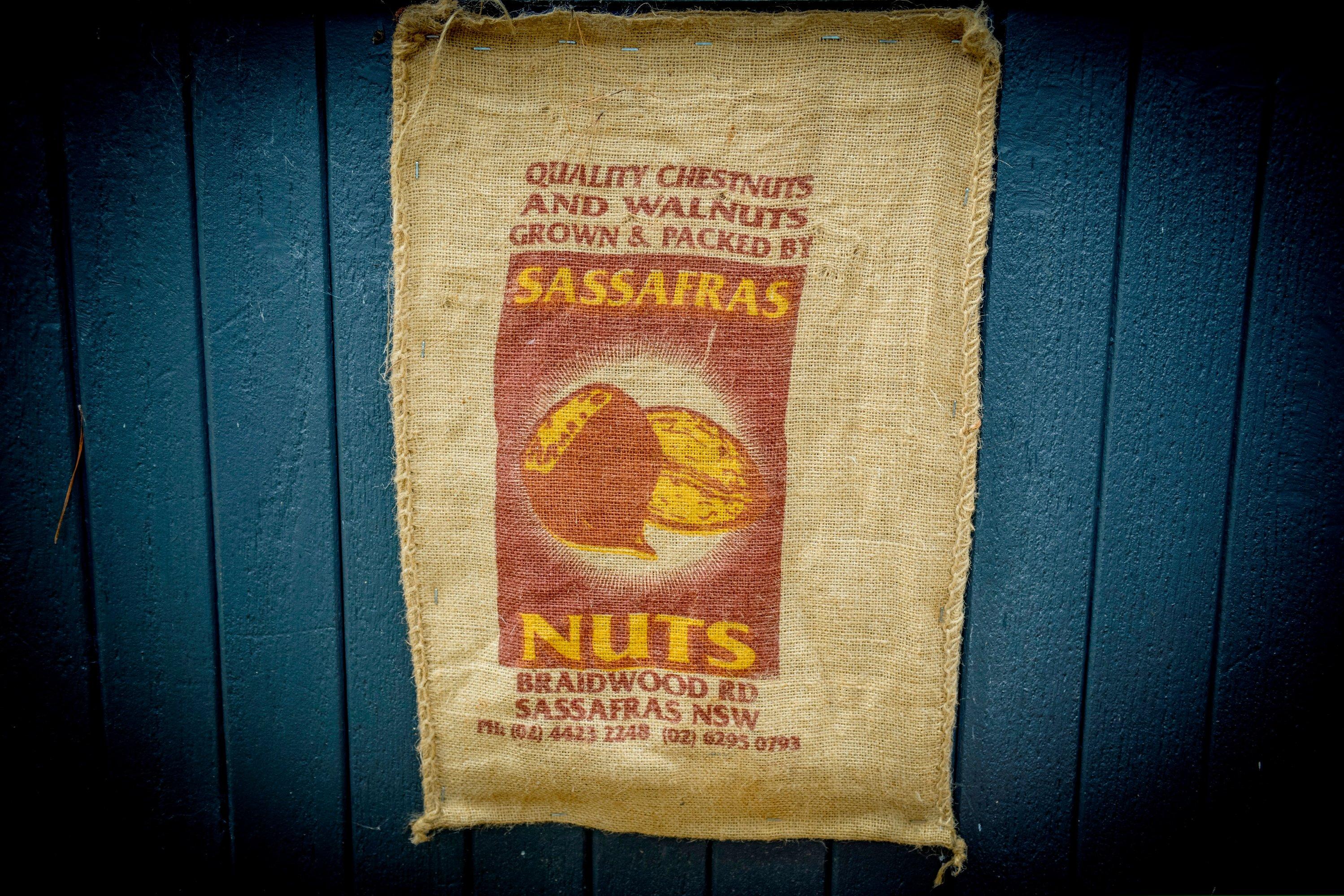 Sassafras Nuts