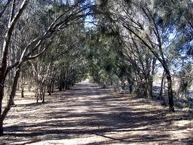 Minlaton Walking Trail