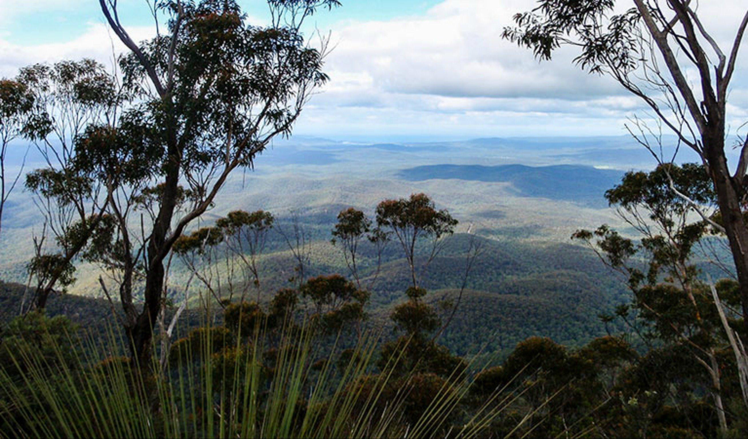 Mount Imlay National Park