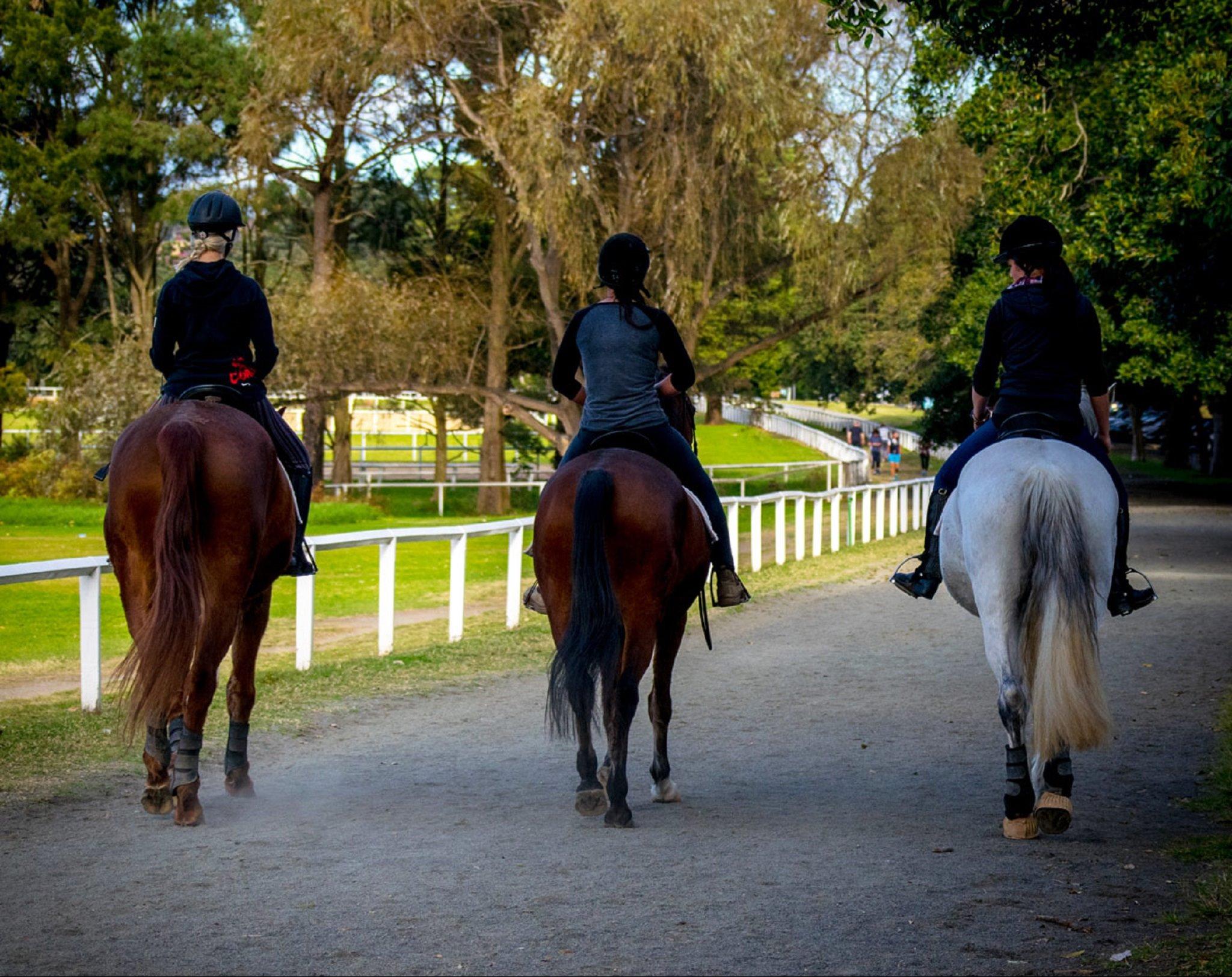 Centennial Stables