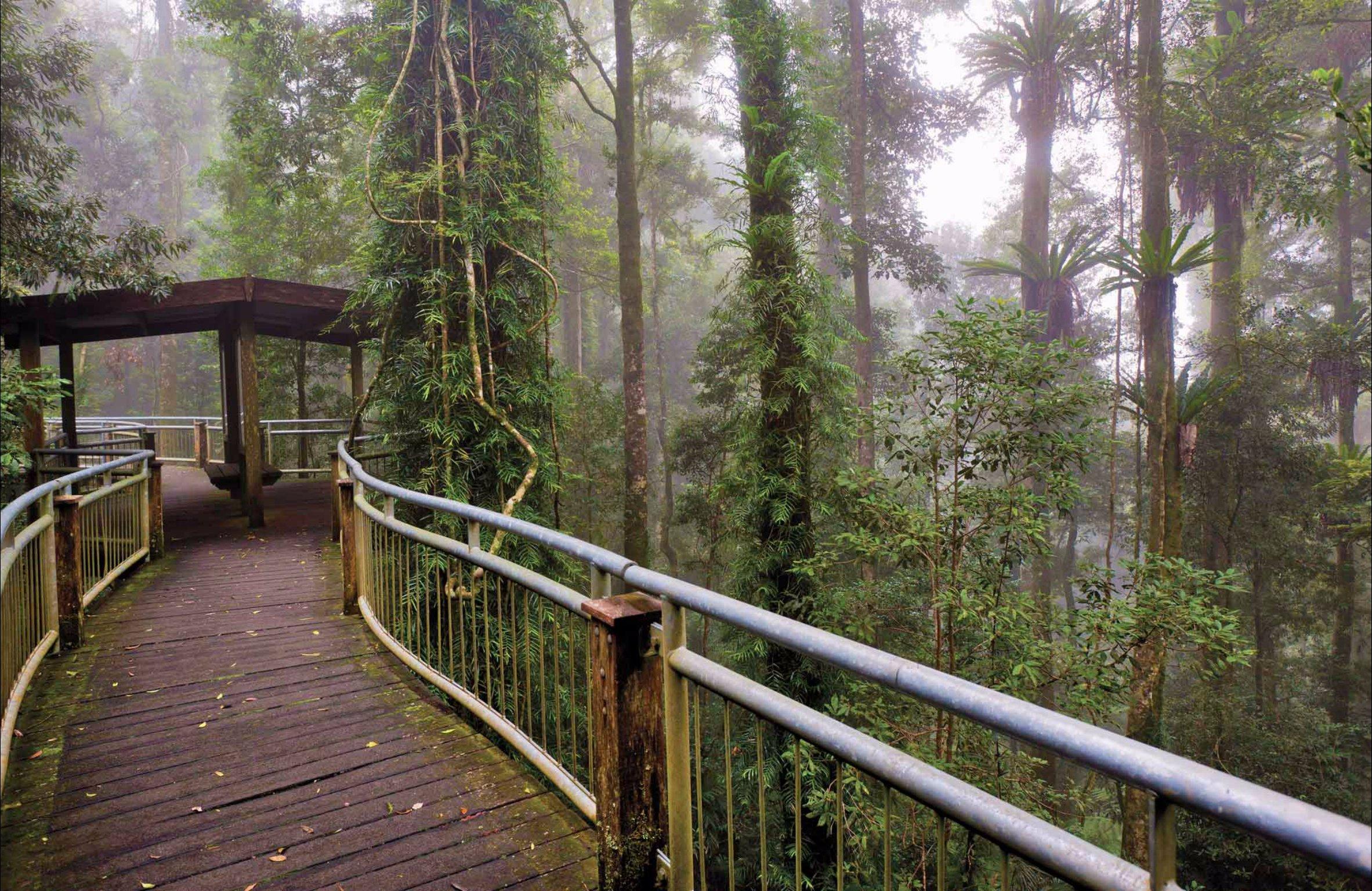 Walk with the Birds Boardwalk