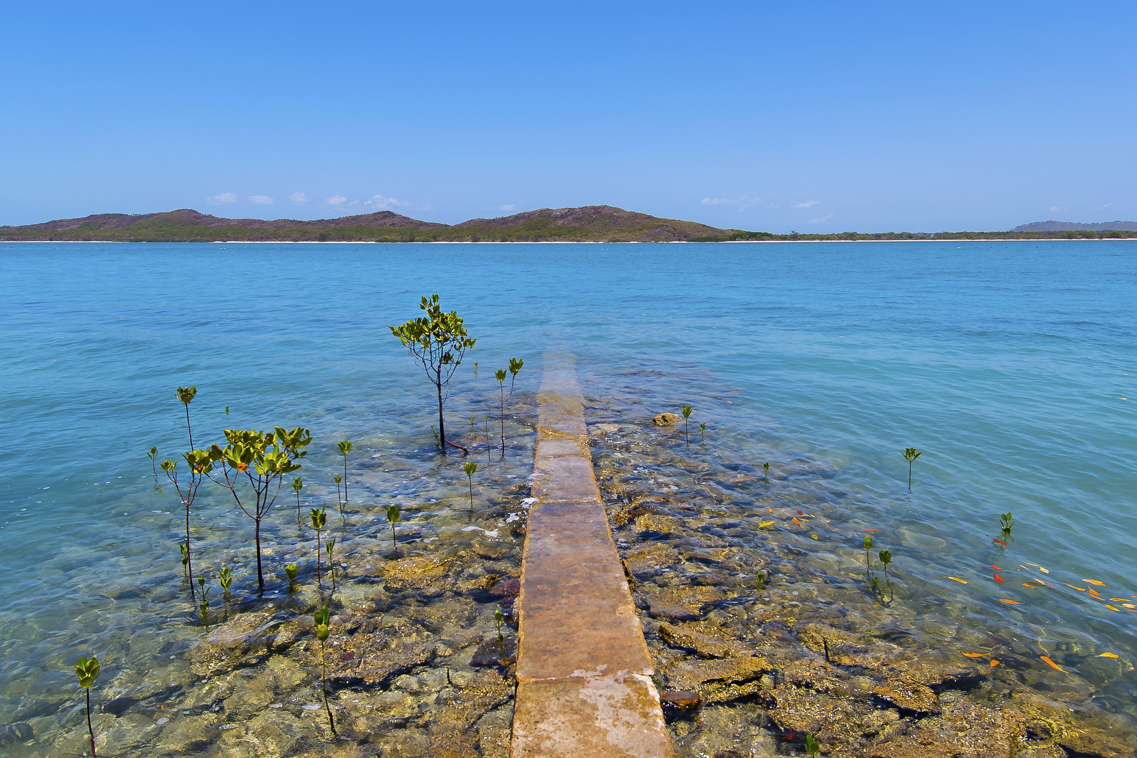 Torres Strait Islands