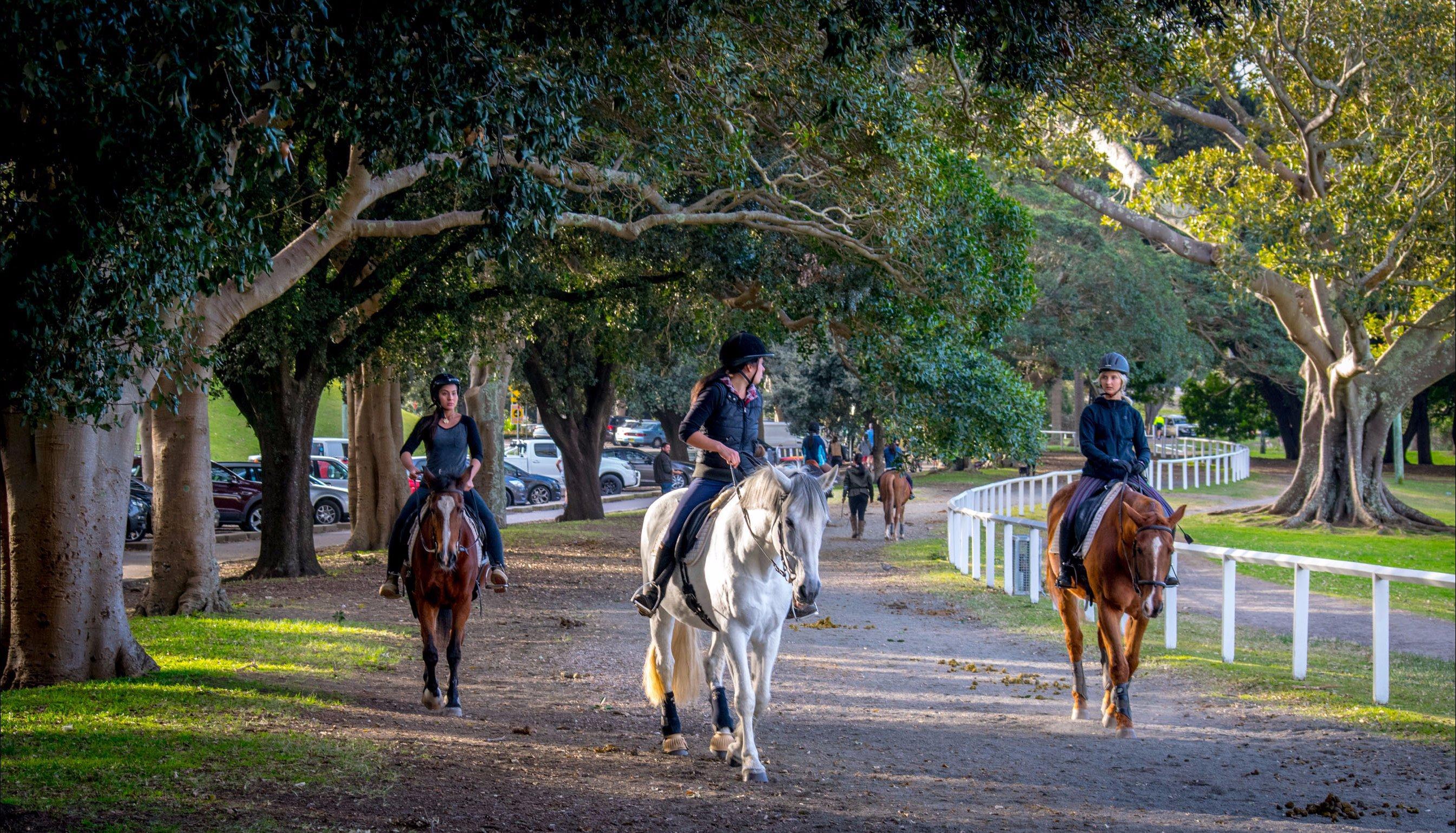 Papillon Riding Stables