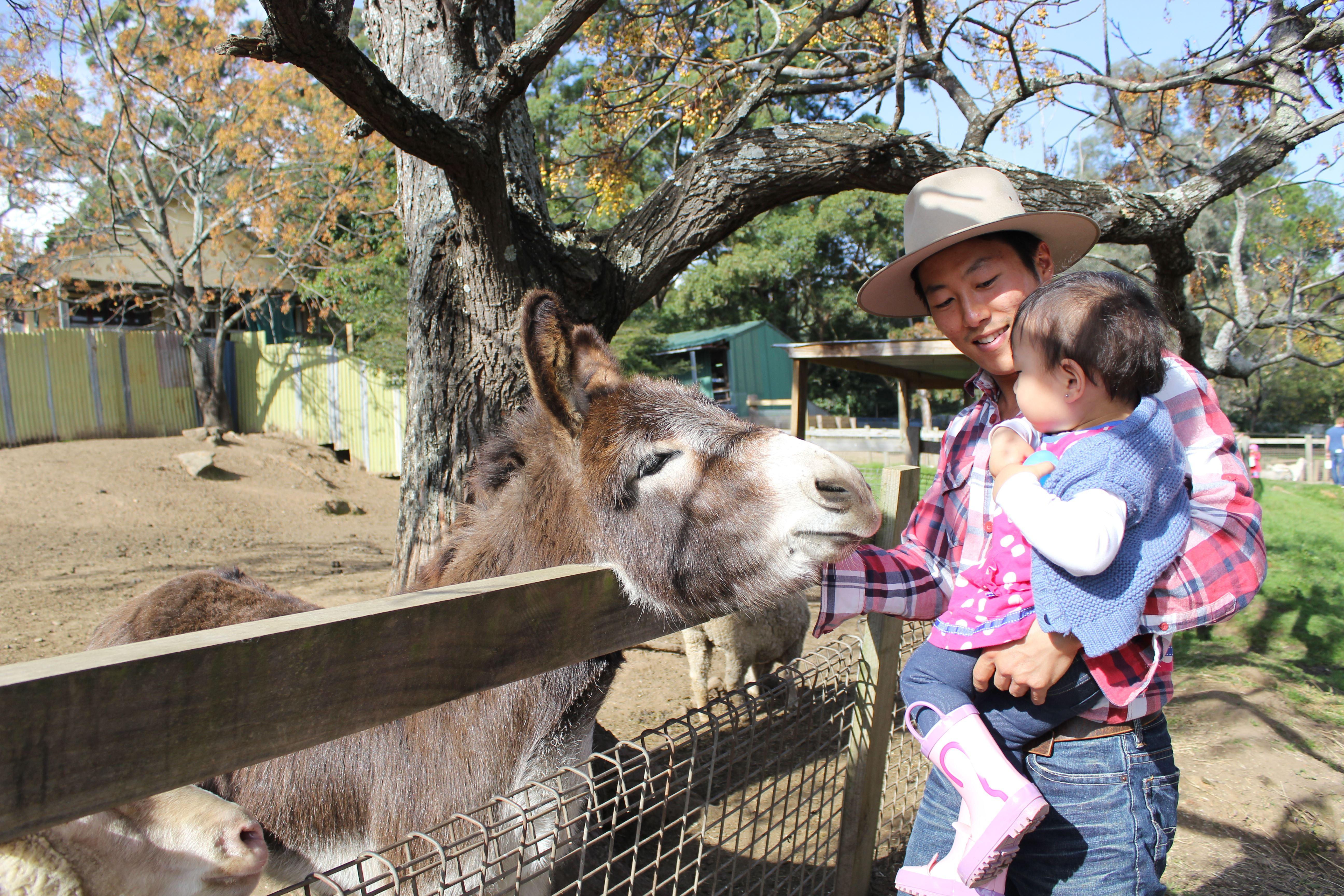 Golden Ridge Animal Farm