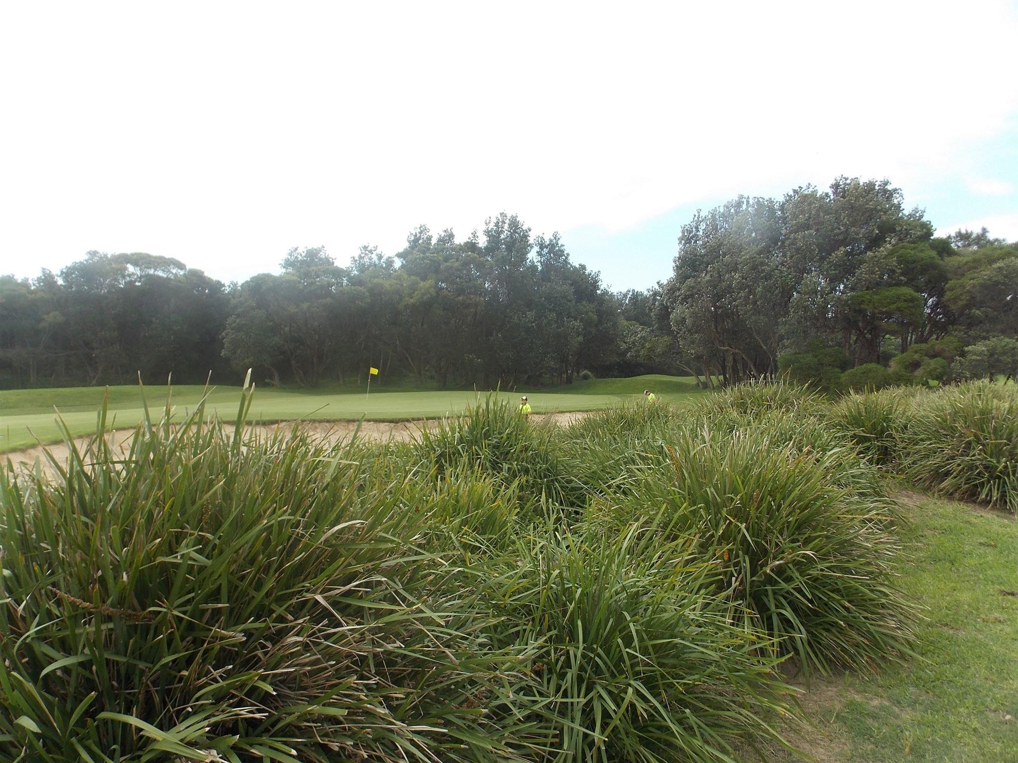 Shoalhaven Heads Golf Club