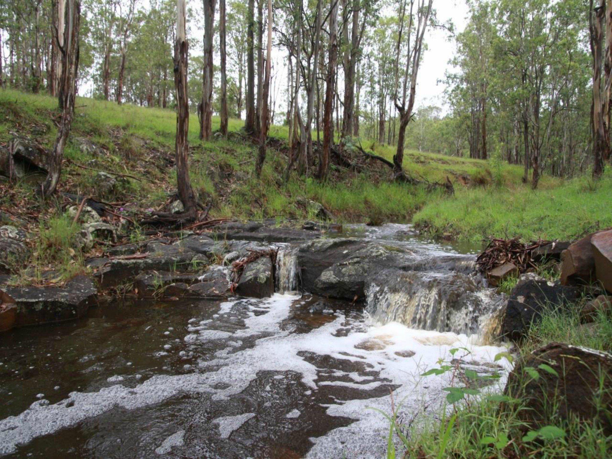 Dungog Common Recreation Reserve