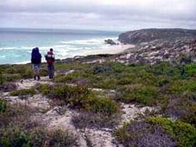 Murray Lagoon - Cape Gantheaume Conservation Park