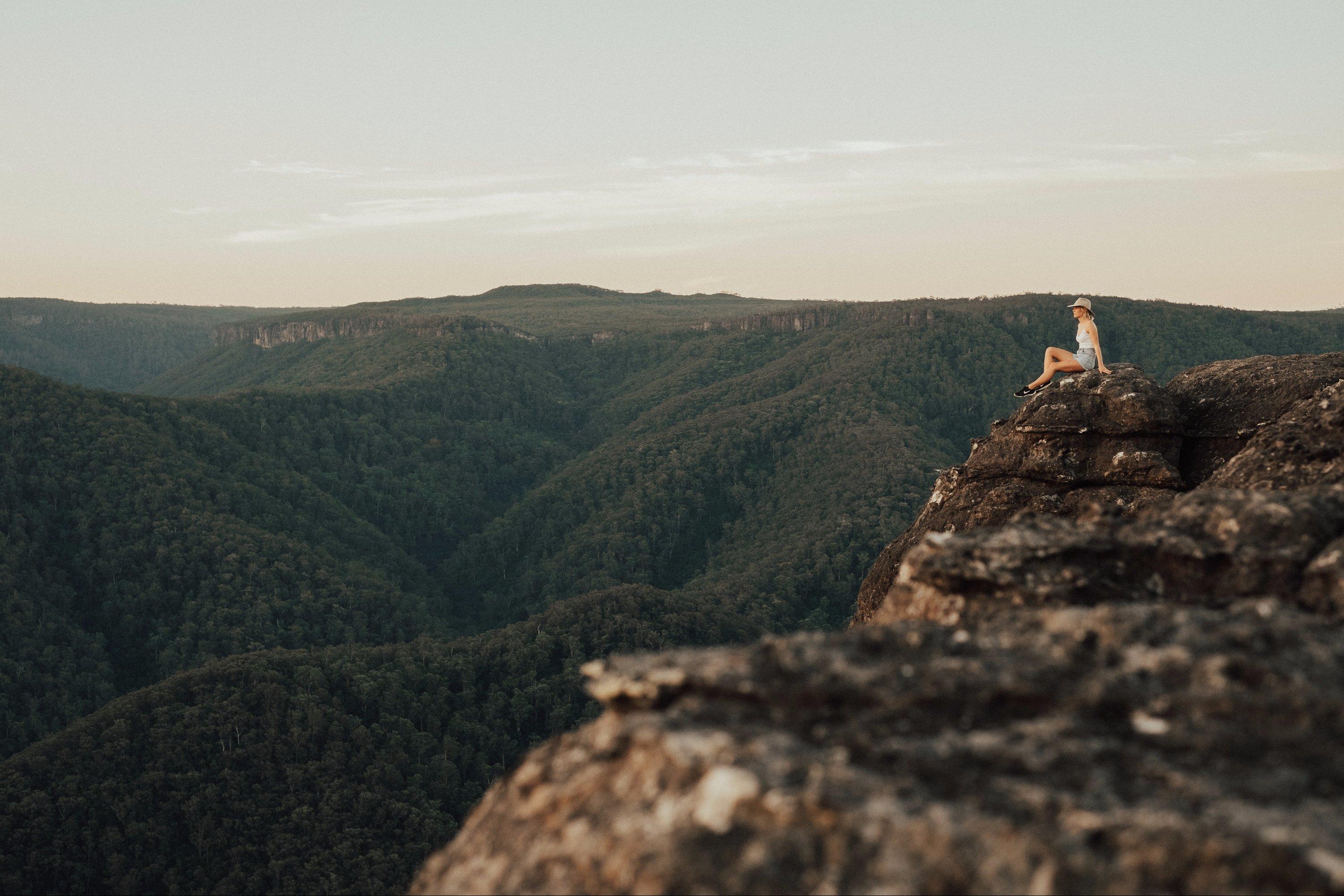 Mt Bushwalker Walking Track