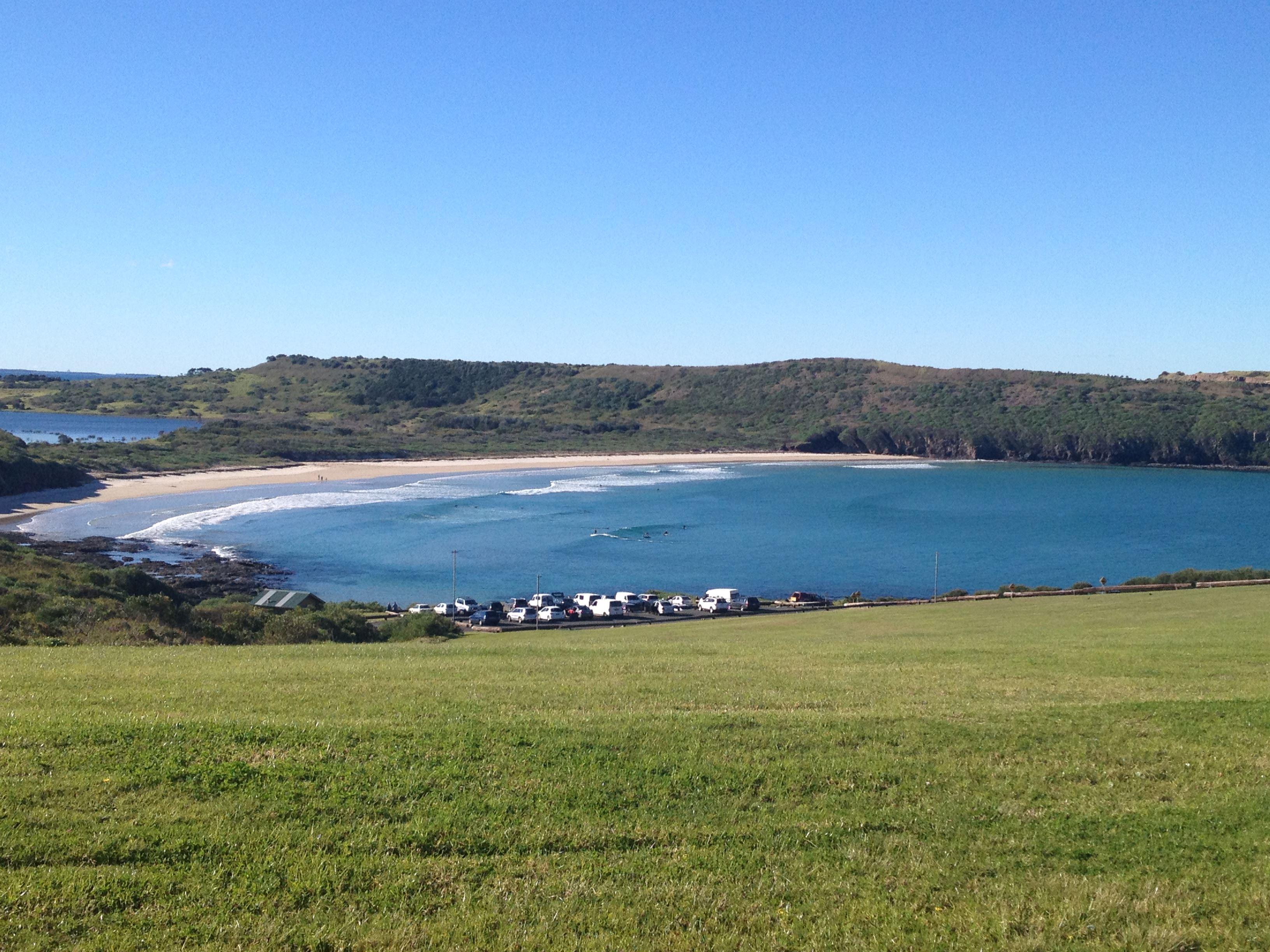 Reflections Killalea Reserve