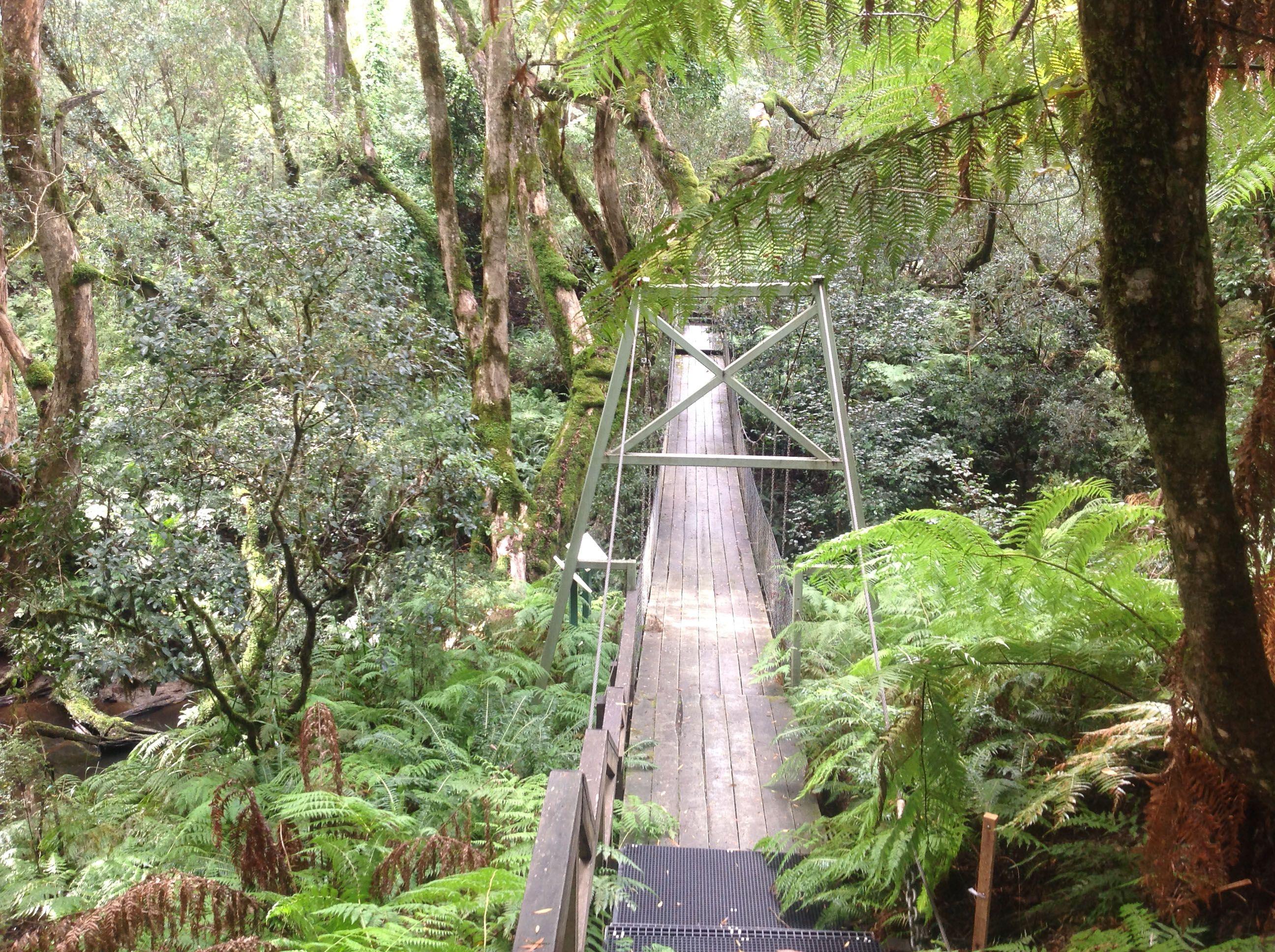 Bemm River Scenic Reserve