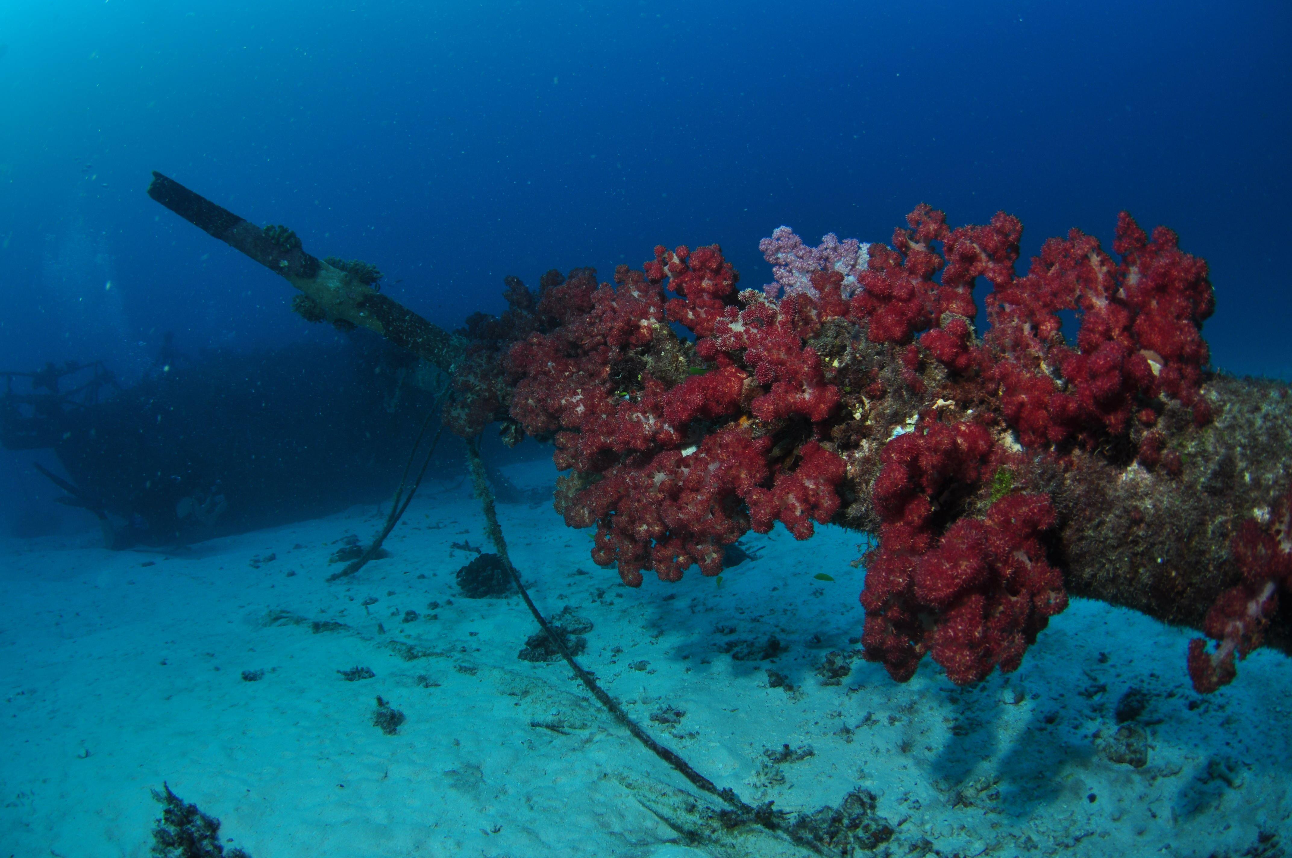 Severance Shipwreck Dive Site