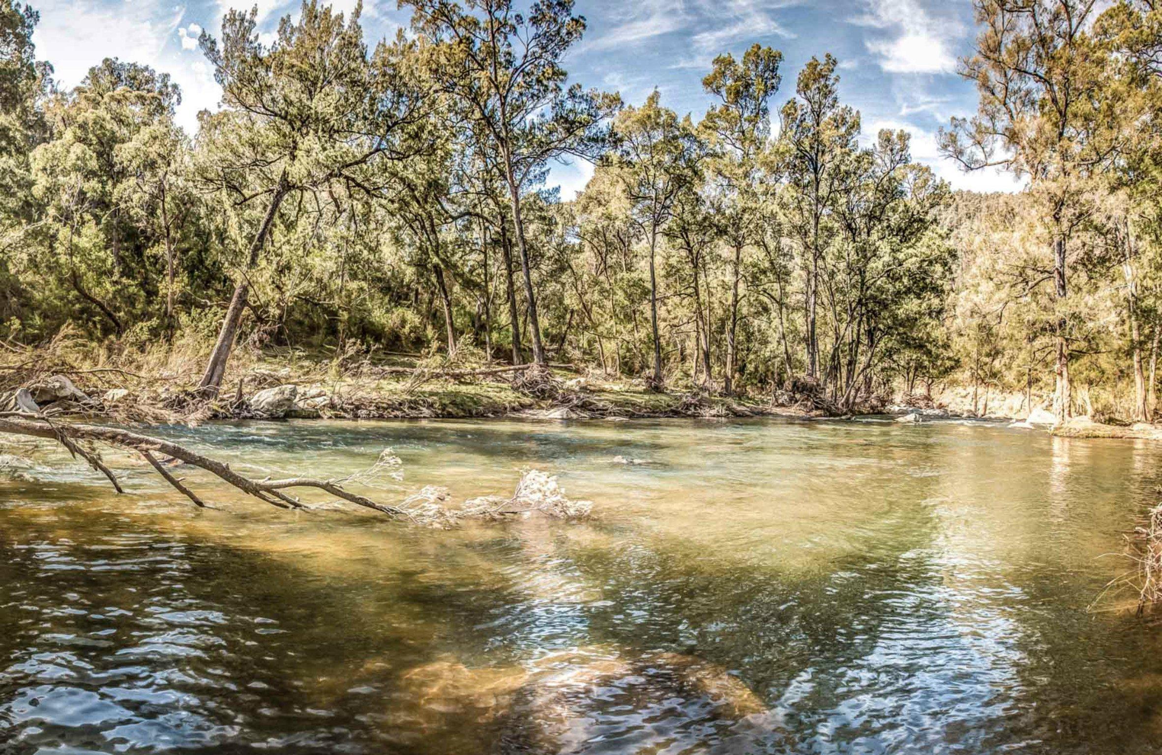 Flea Creek Picnic Area