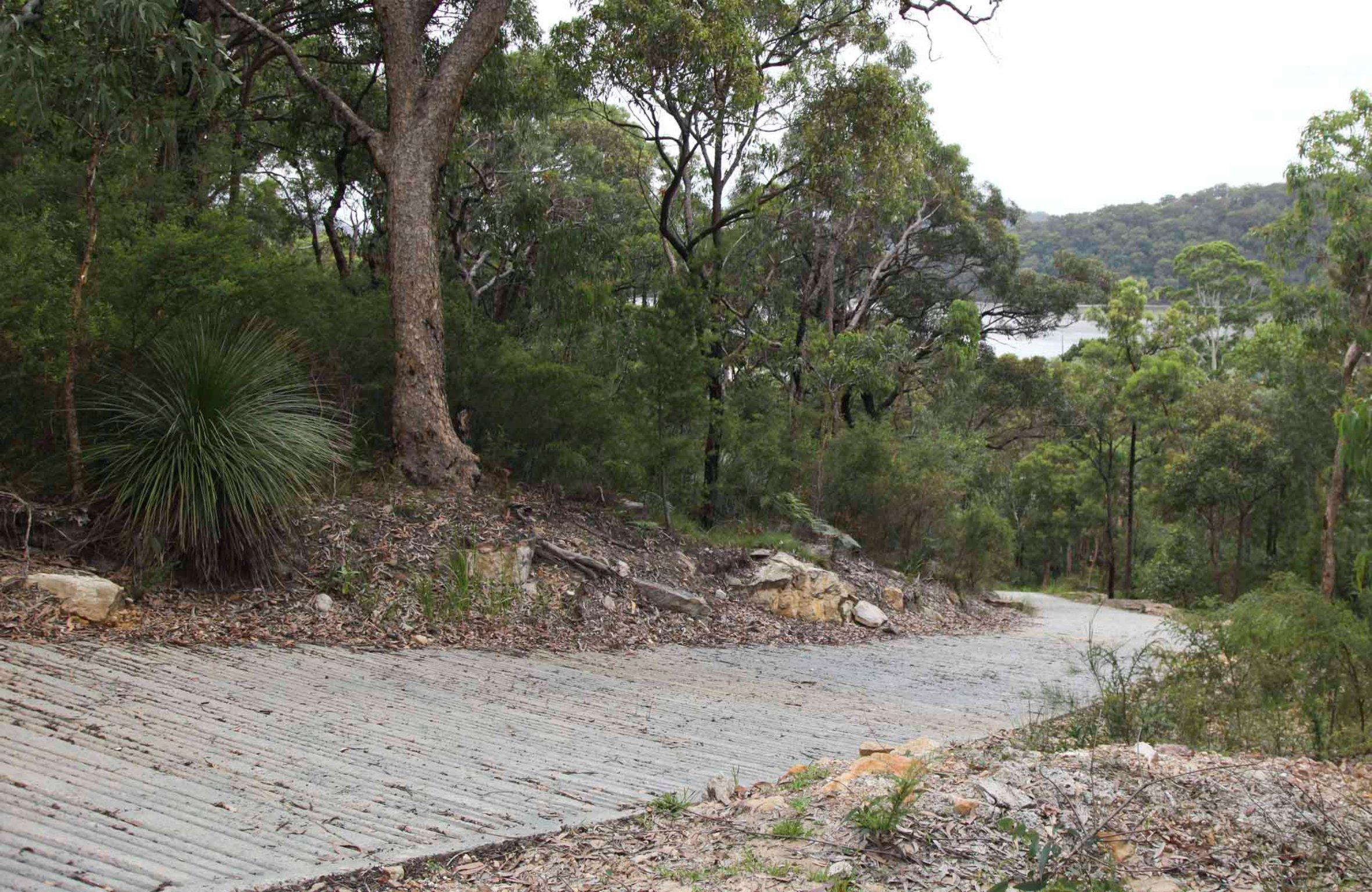 Great North Walk – Ku-ring-gai Chase National Park