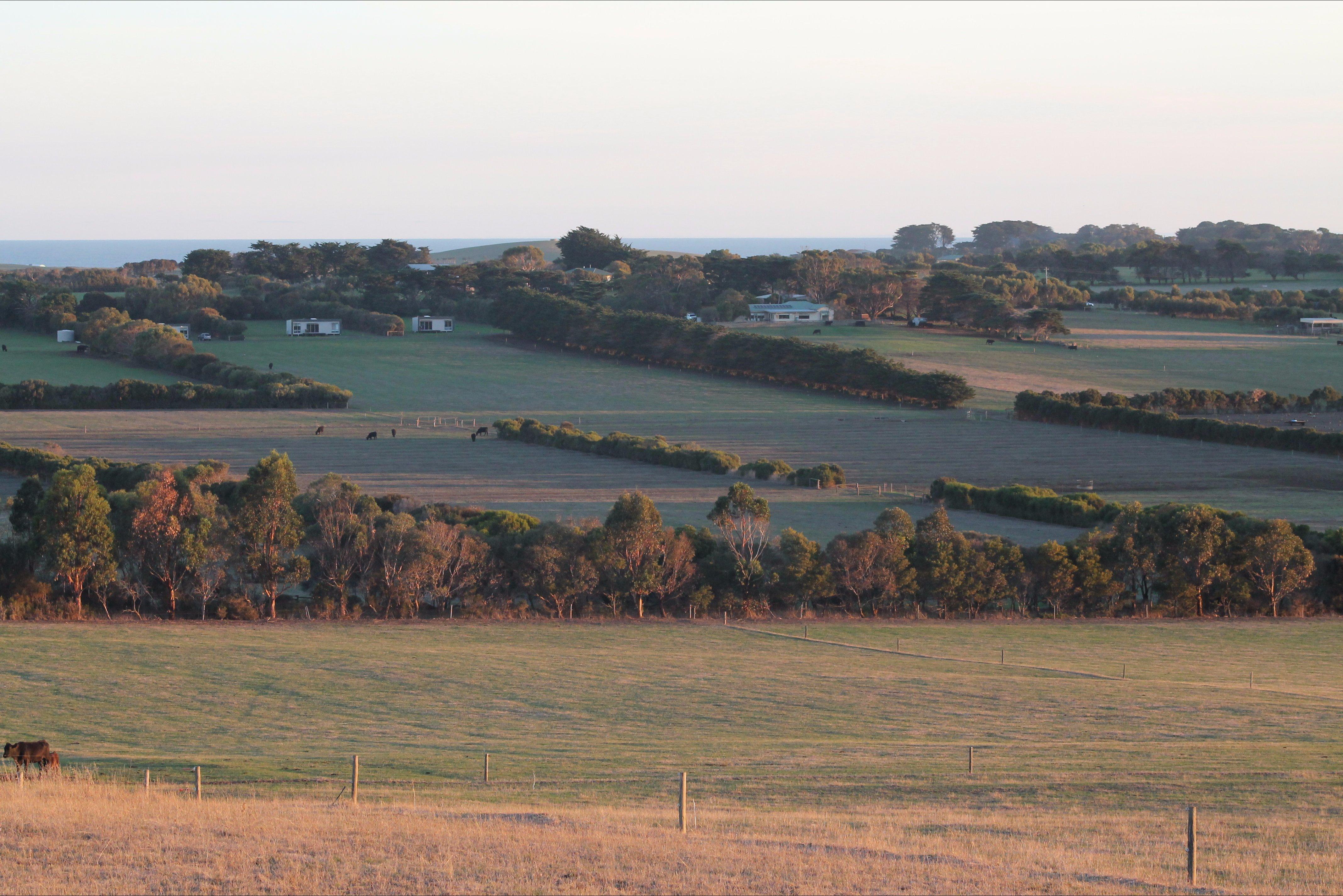 Bimbadeen Phillip Island Farm Experiences