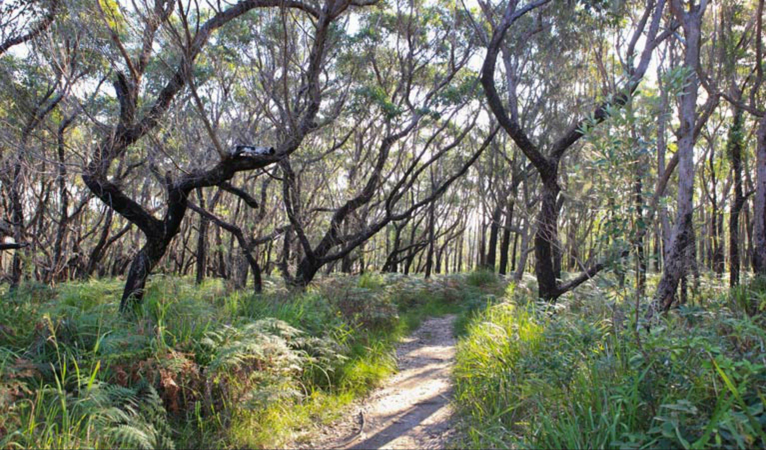 Pot Holes walking track