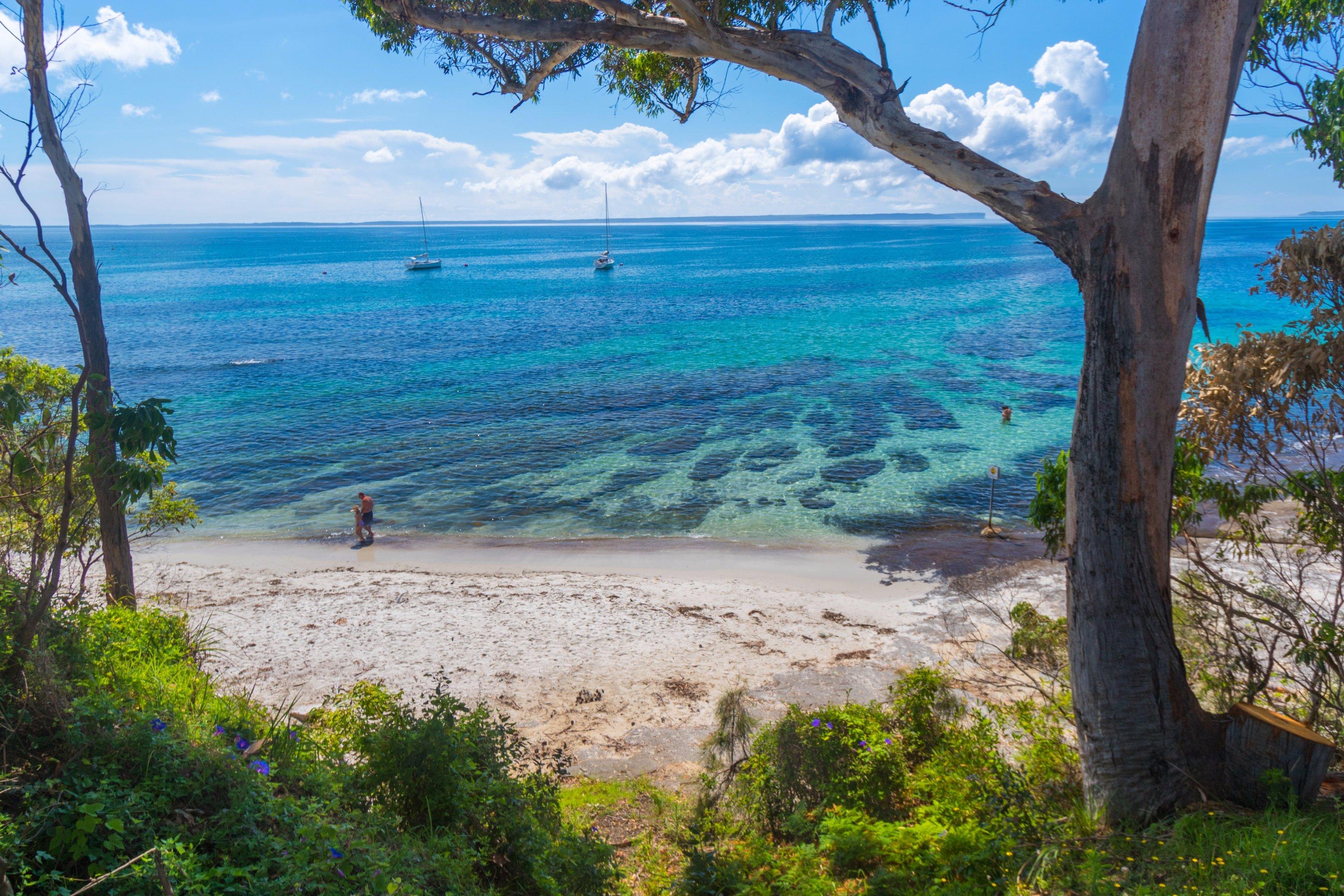 Shark Net Beach