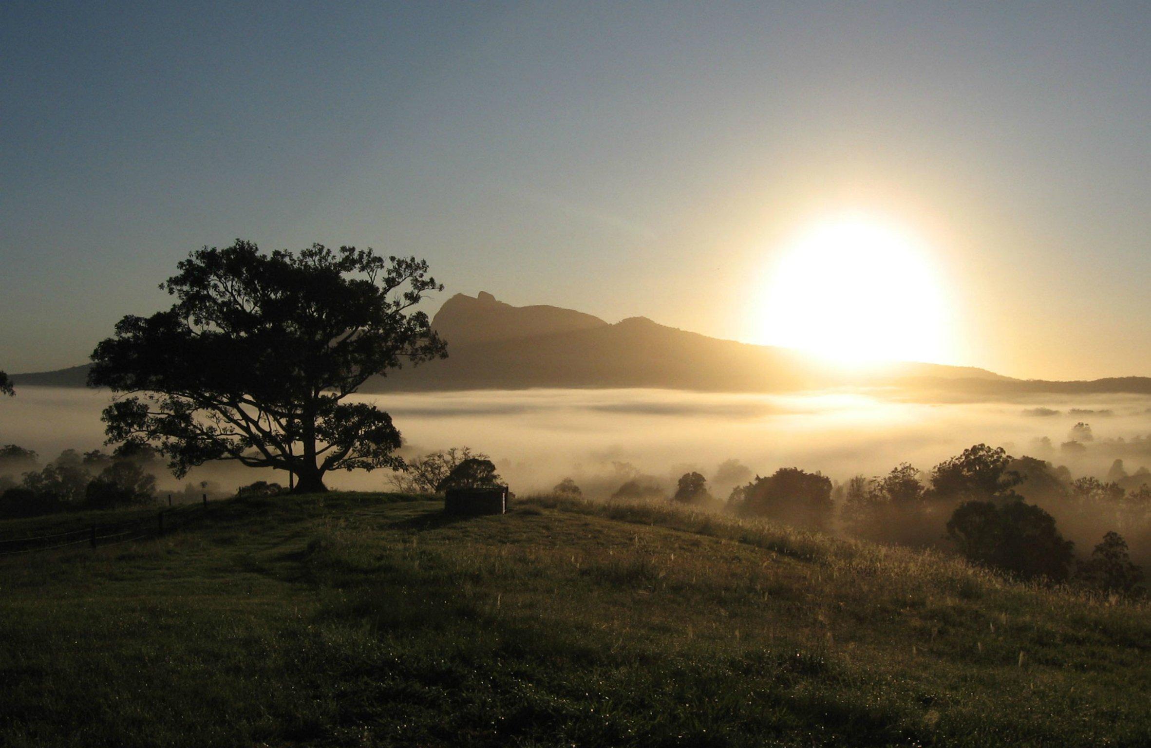 Wollumbin National Park