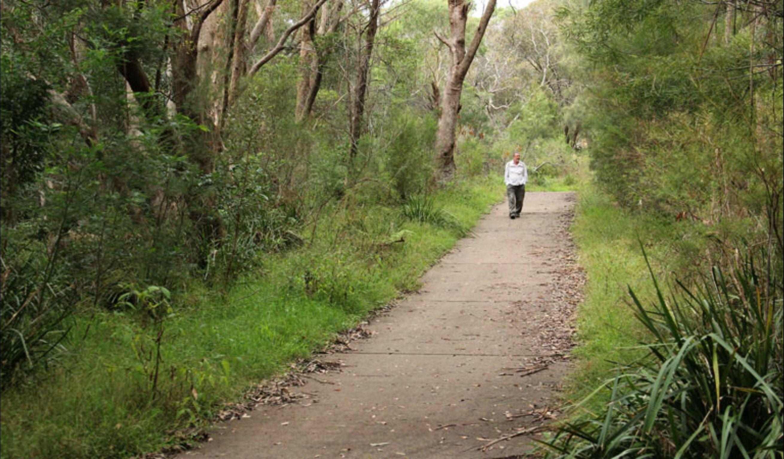 Bellamy fire trail