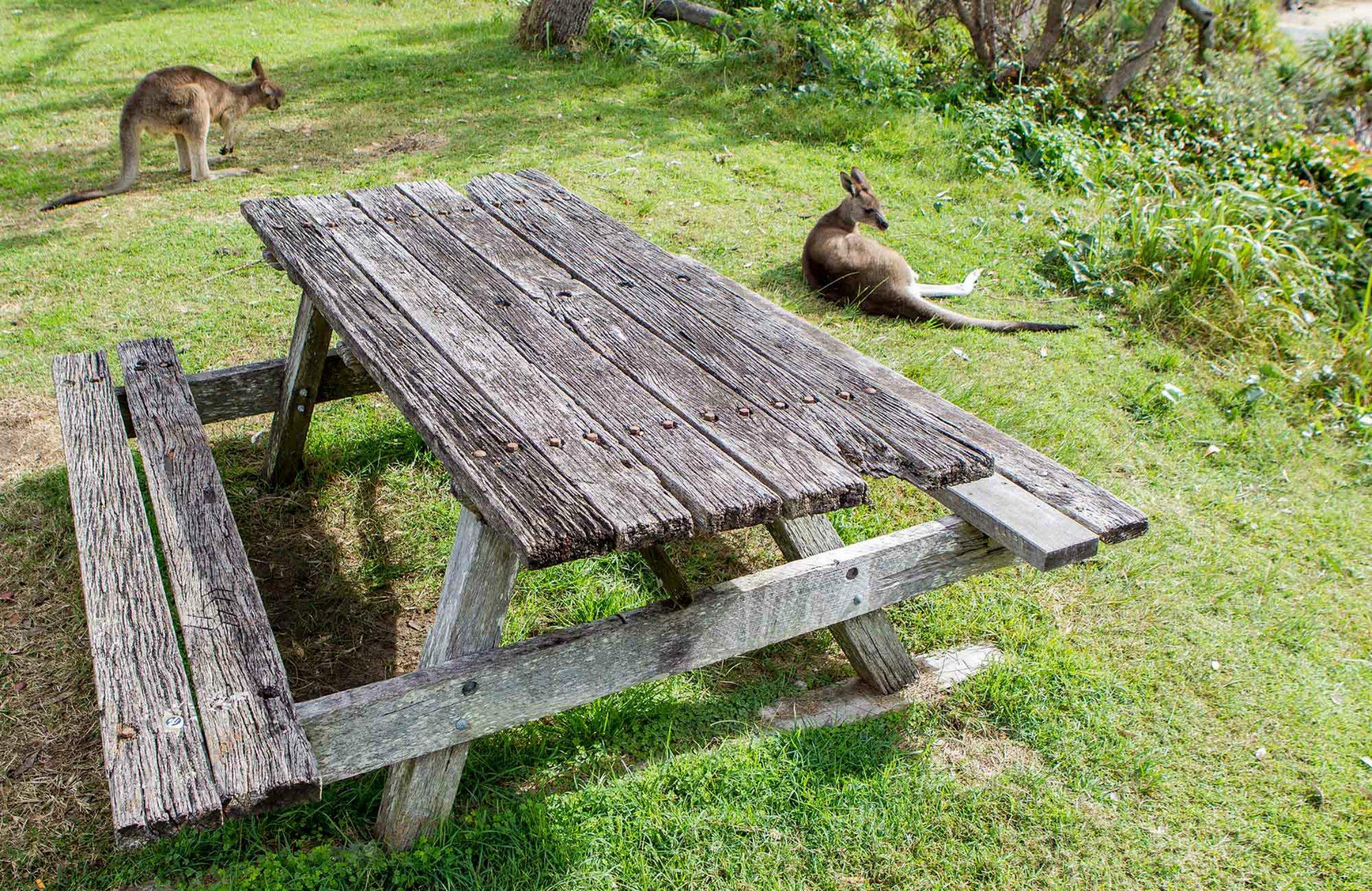 Wilsons Headland Picnic Area