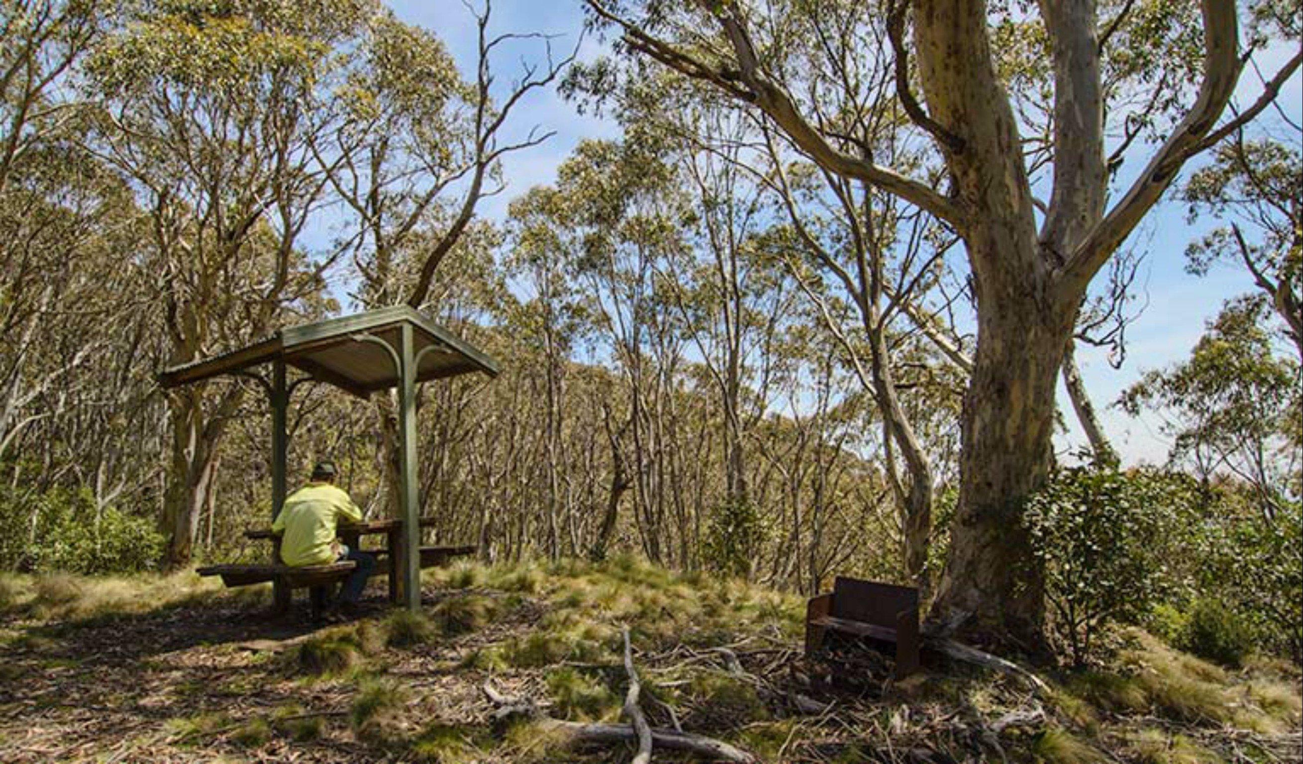 Mount Barrington picnic area