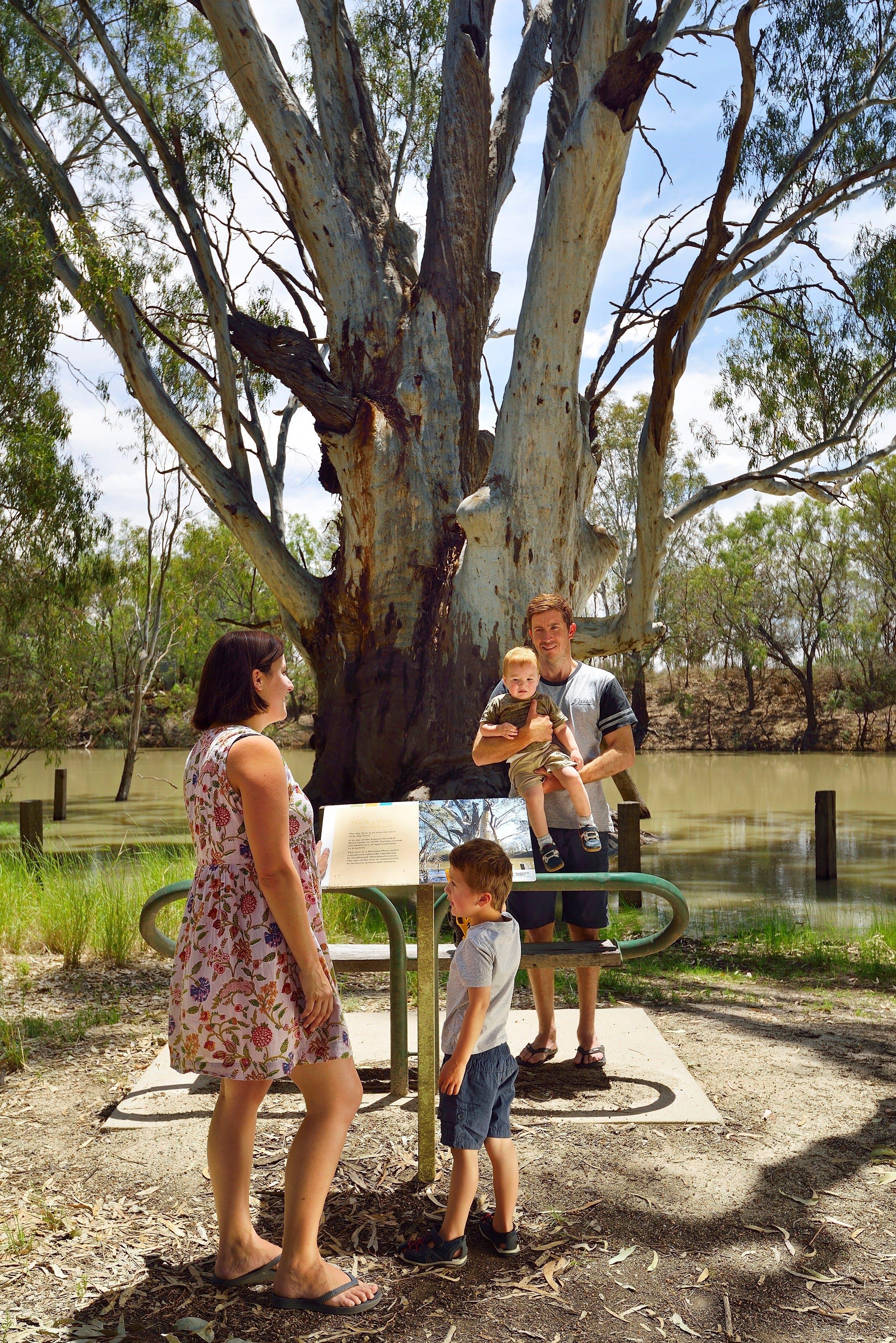 Moulamein River Walk