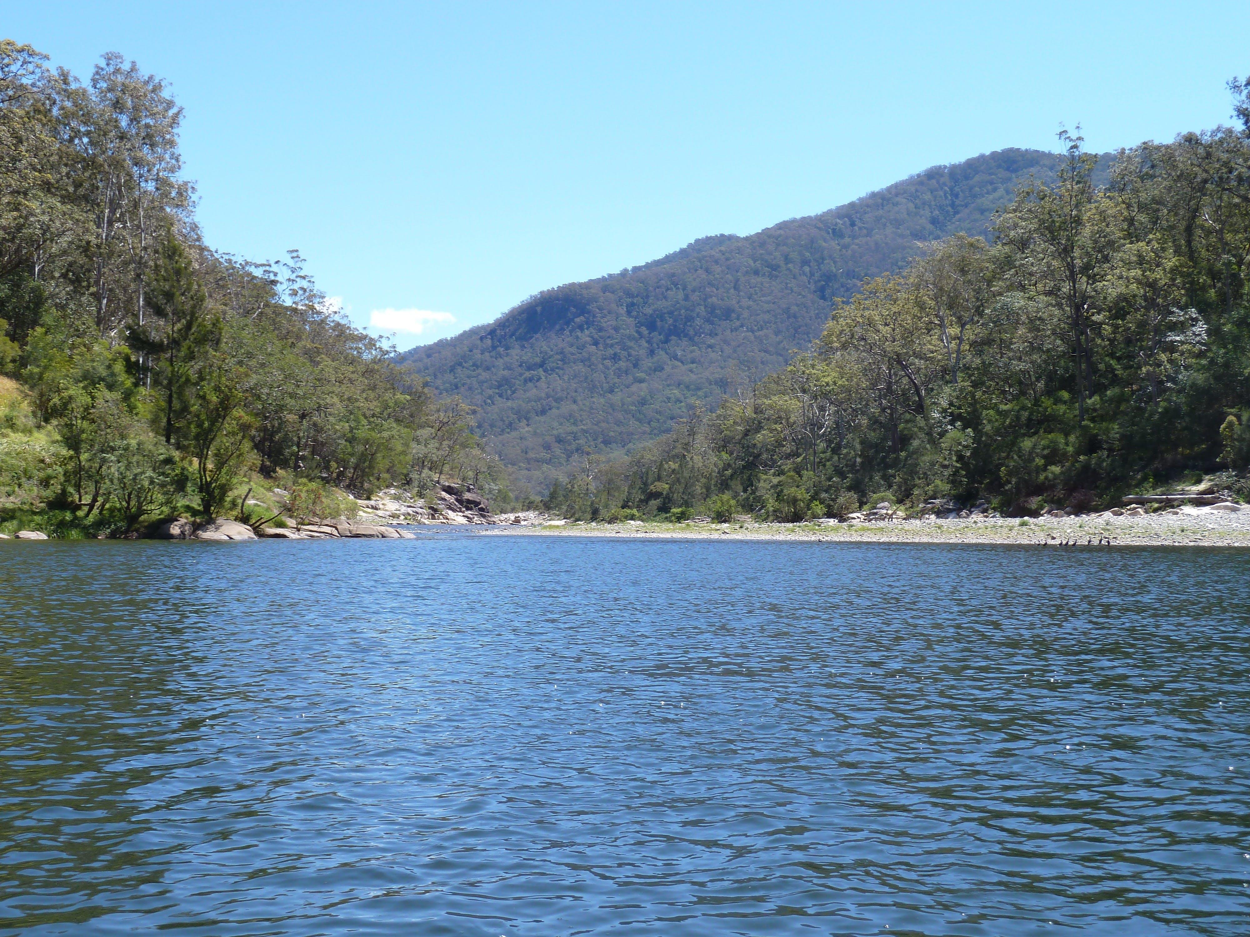 Nymboida River Campground