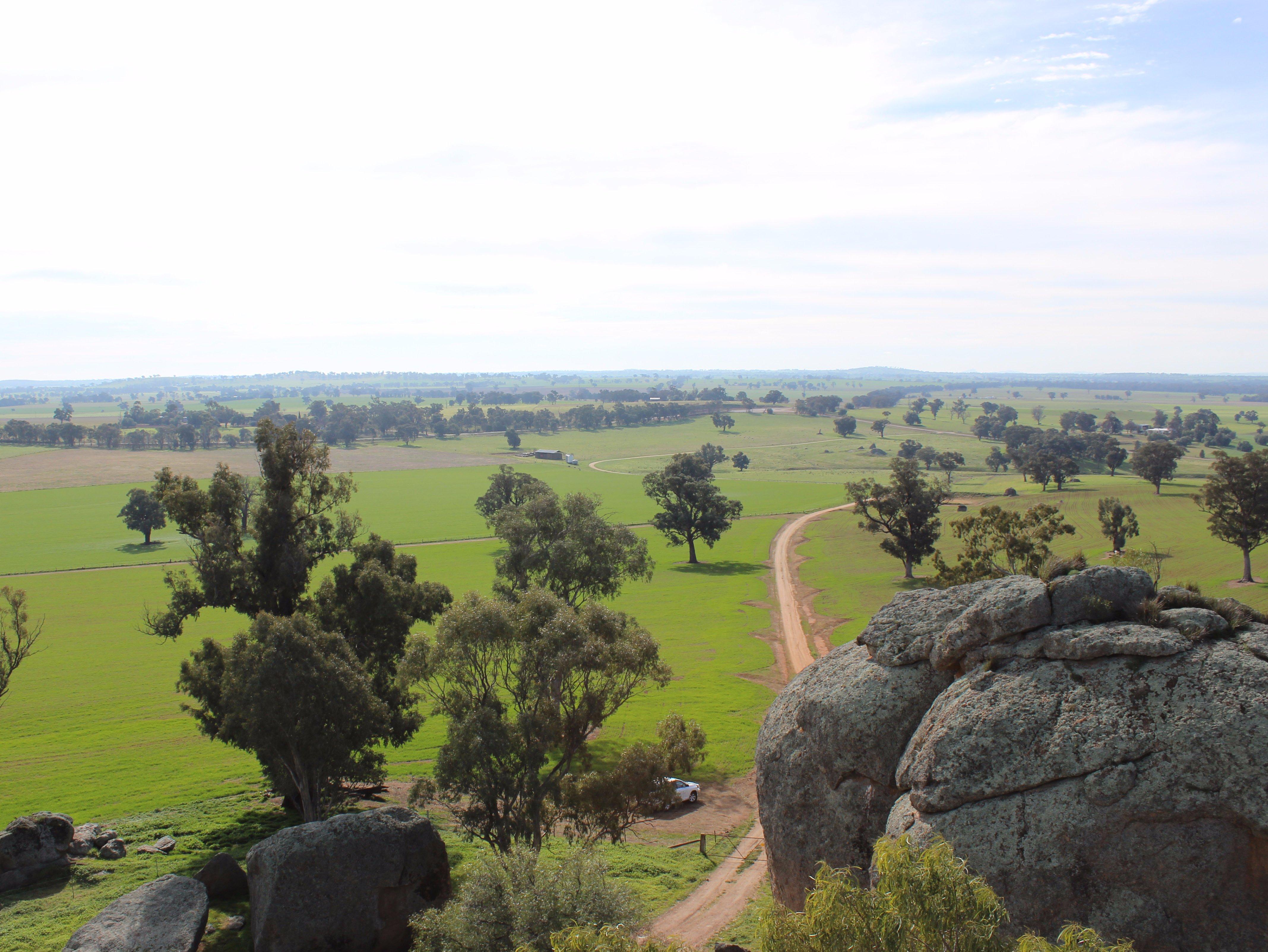 Morgans Lookout