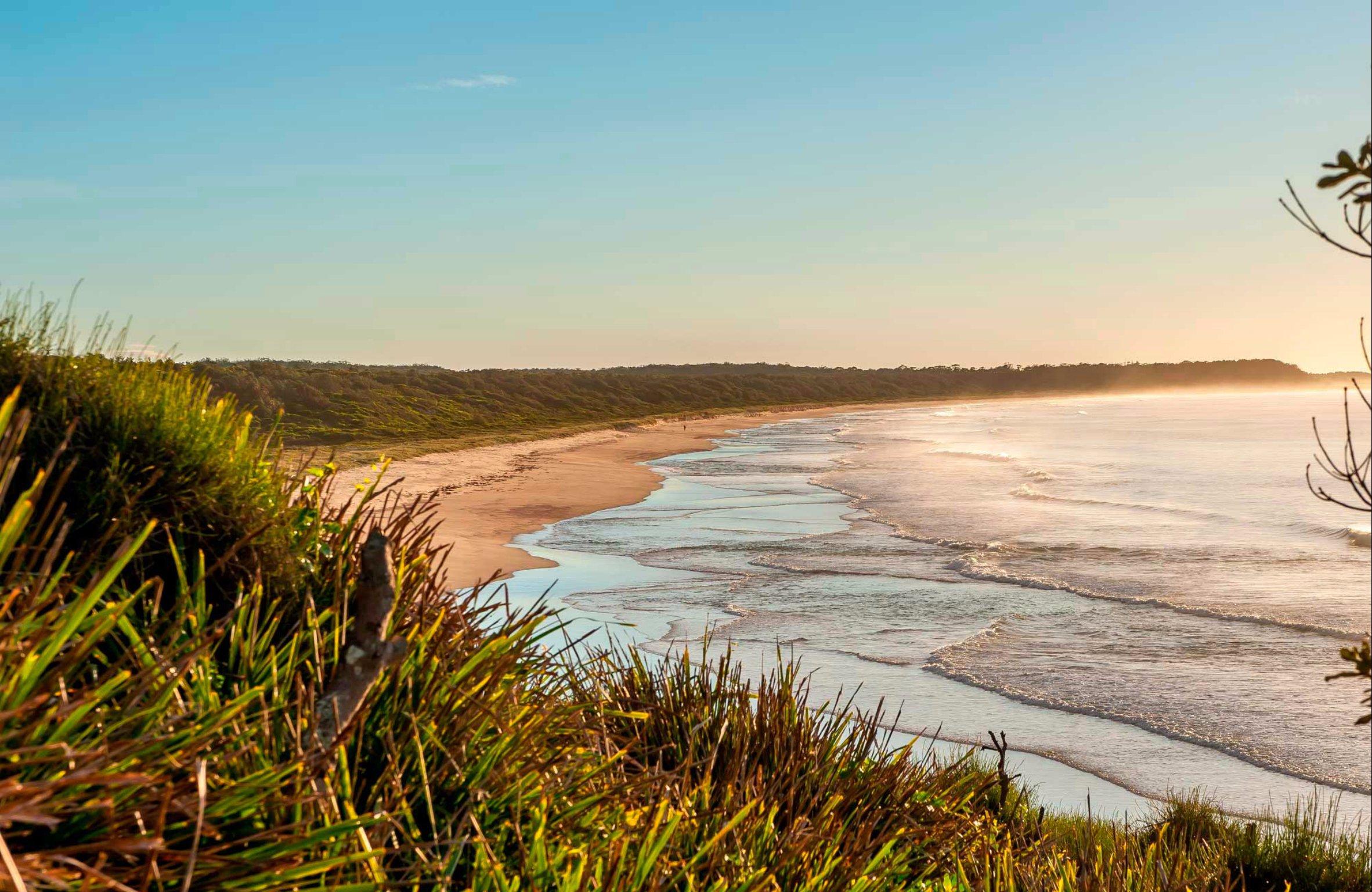 Burrawang Track - Conjola Beach to Buckleys Point