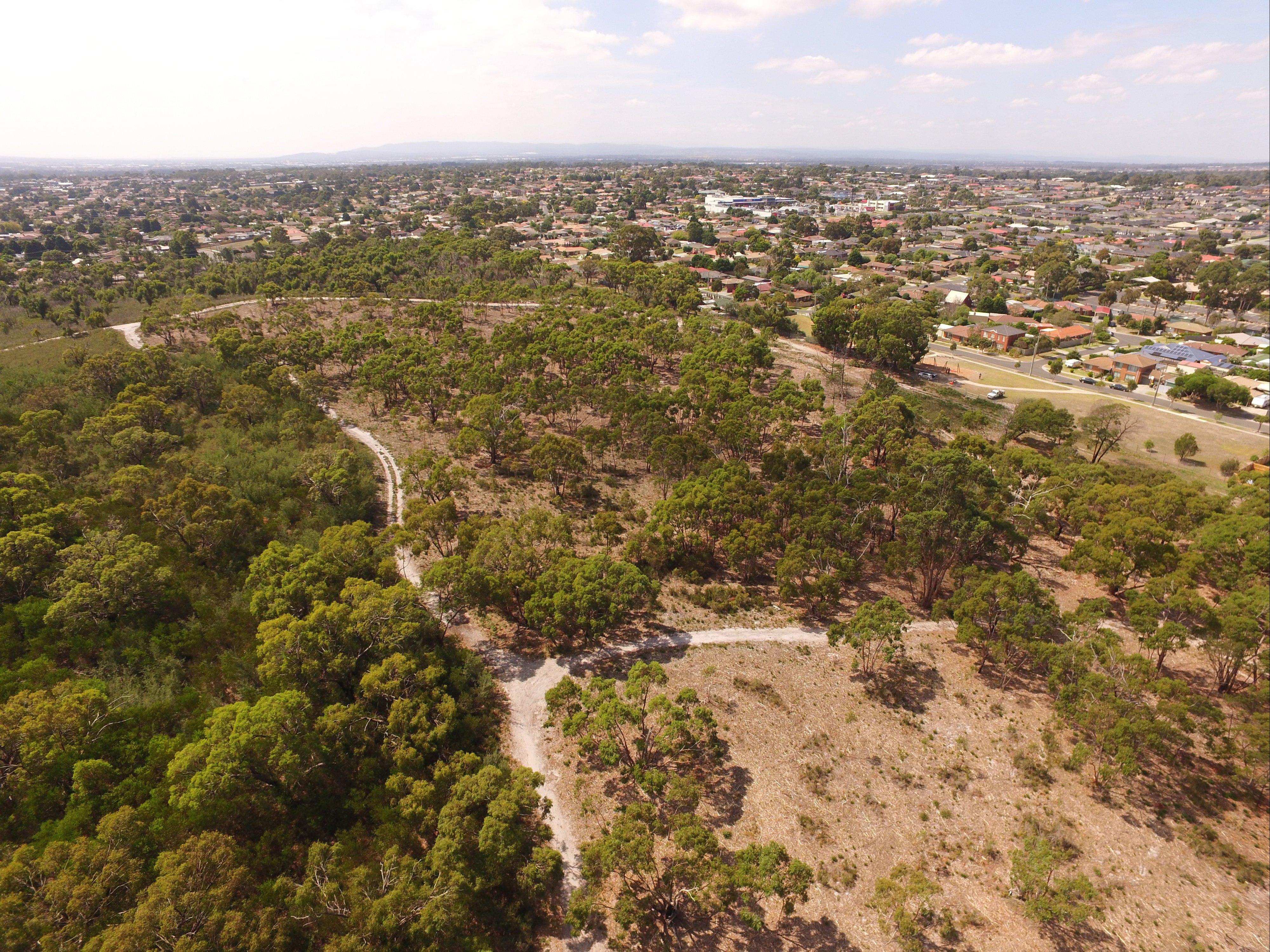 The Pines Flora and Fauna Reserve