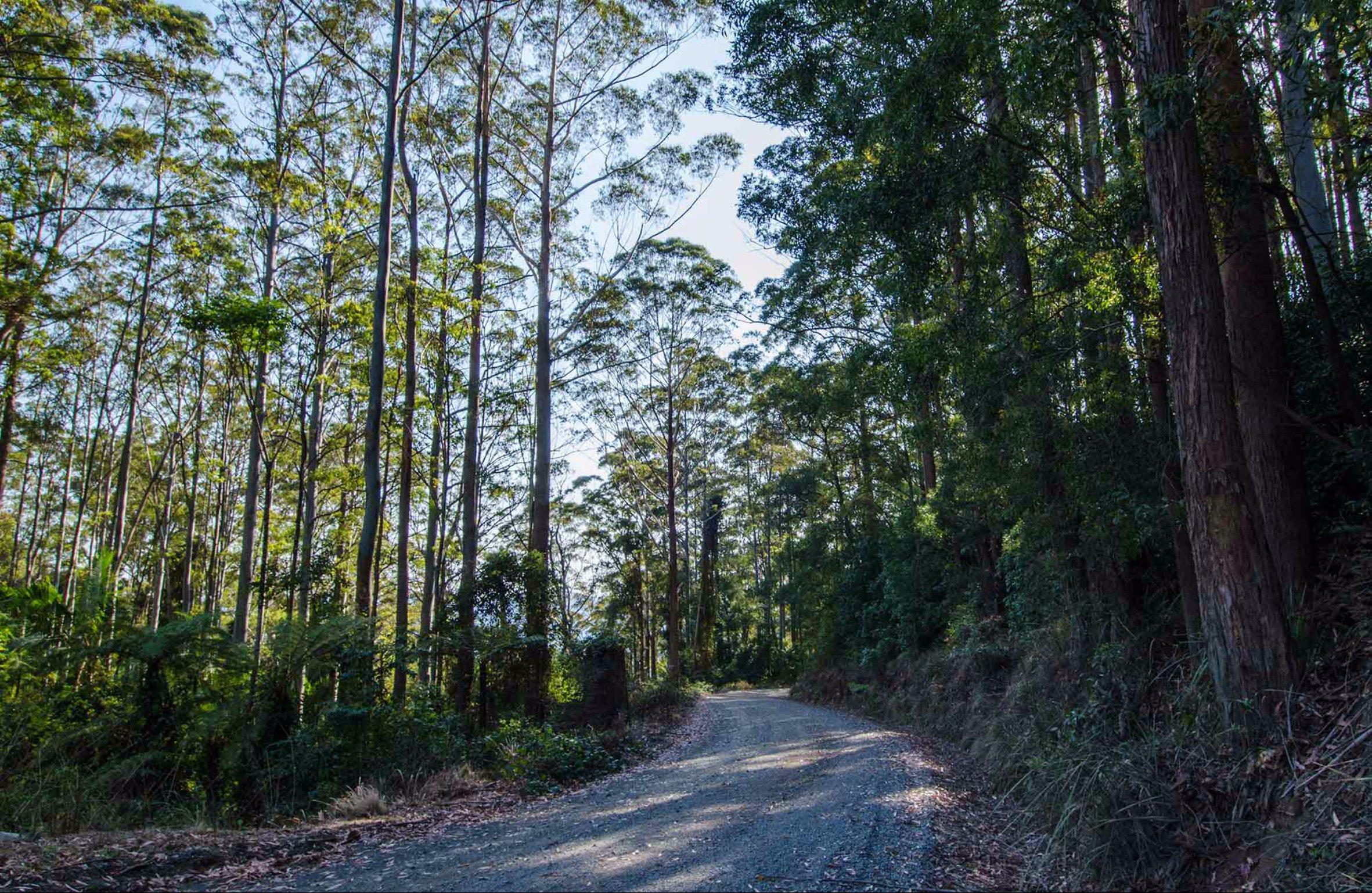 Hastings Forest Way Touring Route